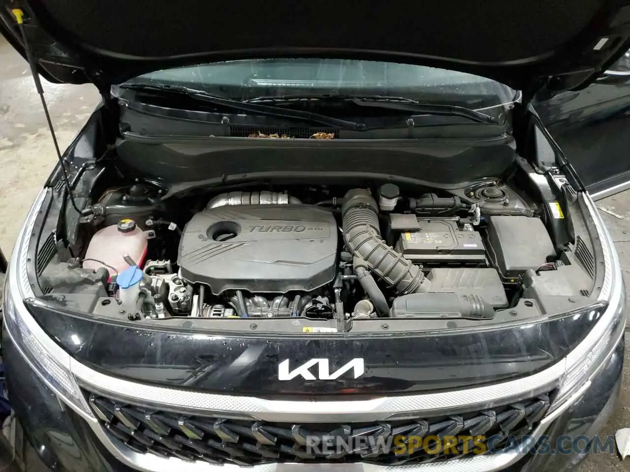 13 fotografías del automóvil dañado KNDEUCA26P7405194 KIA SELTOS NIG 2023