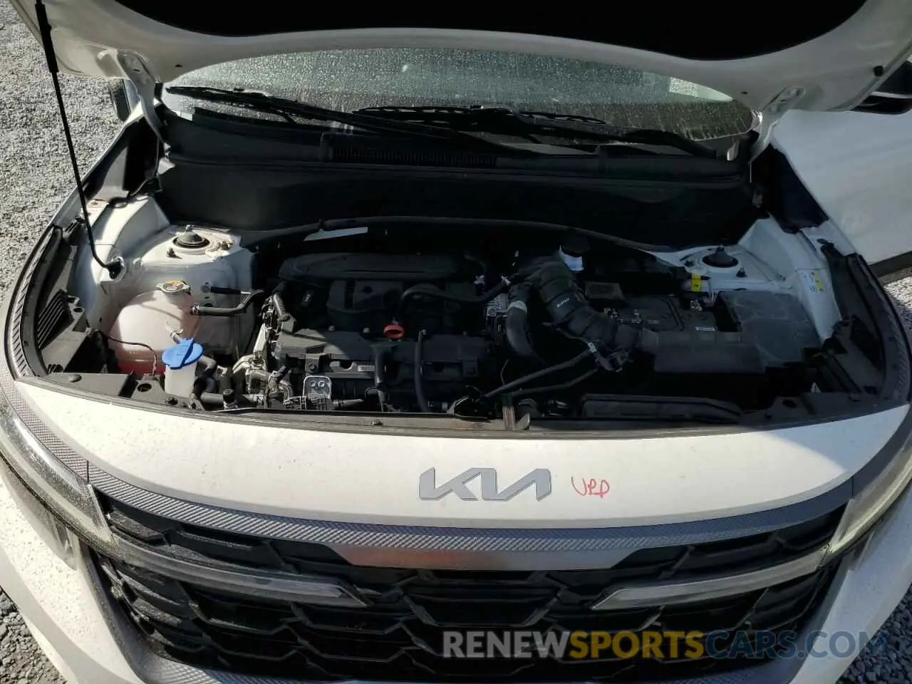 12 fotografías del automóvil dañado KNDEUCA77R7521860 KIA SELTOS X L 2024