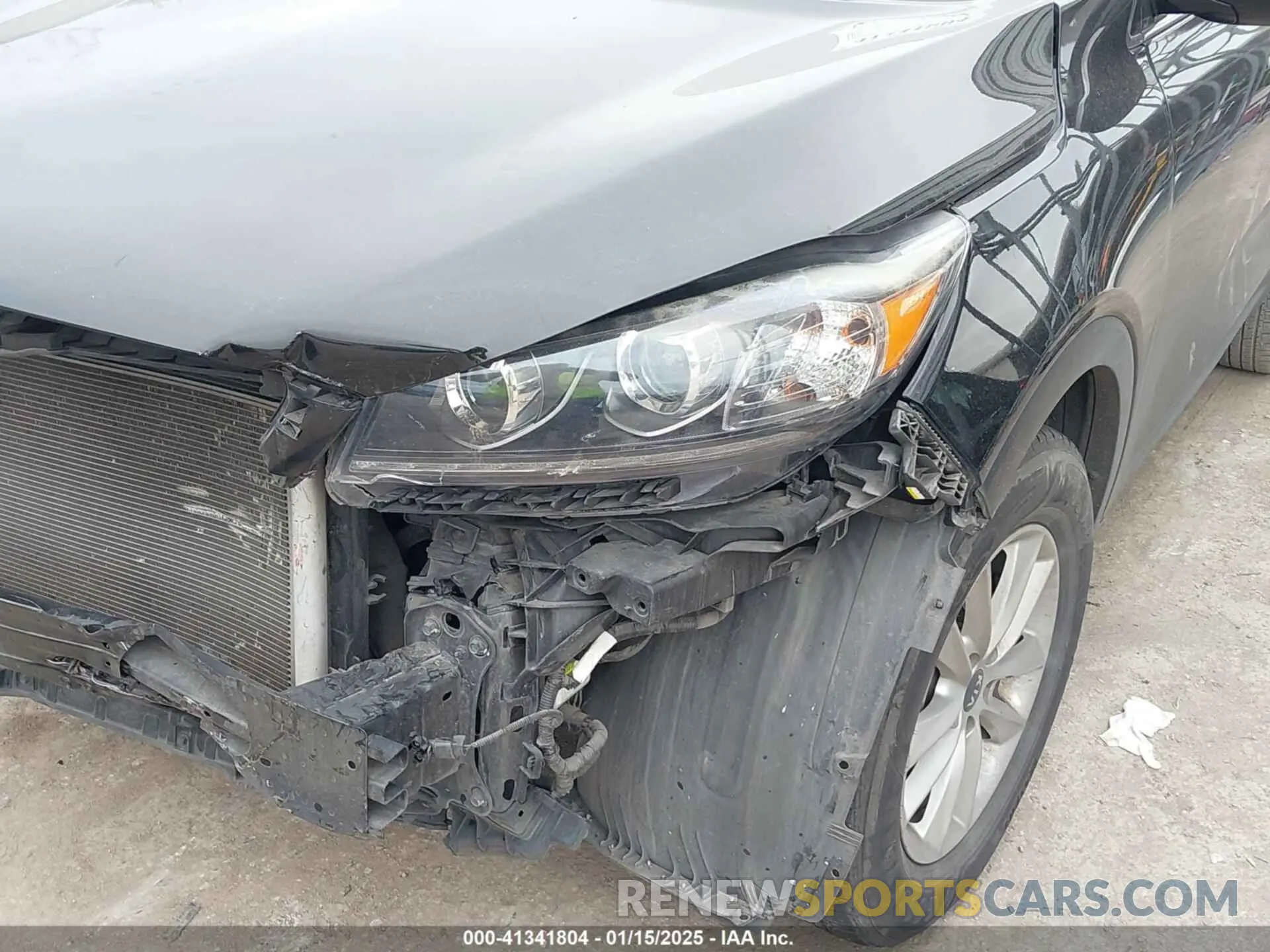 6 fotografías del automóvil dañado 5XYPG4A32KG467377 KIA SORENTO 2019