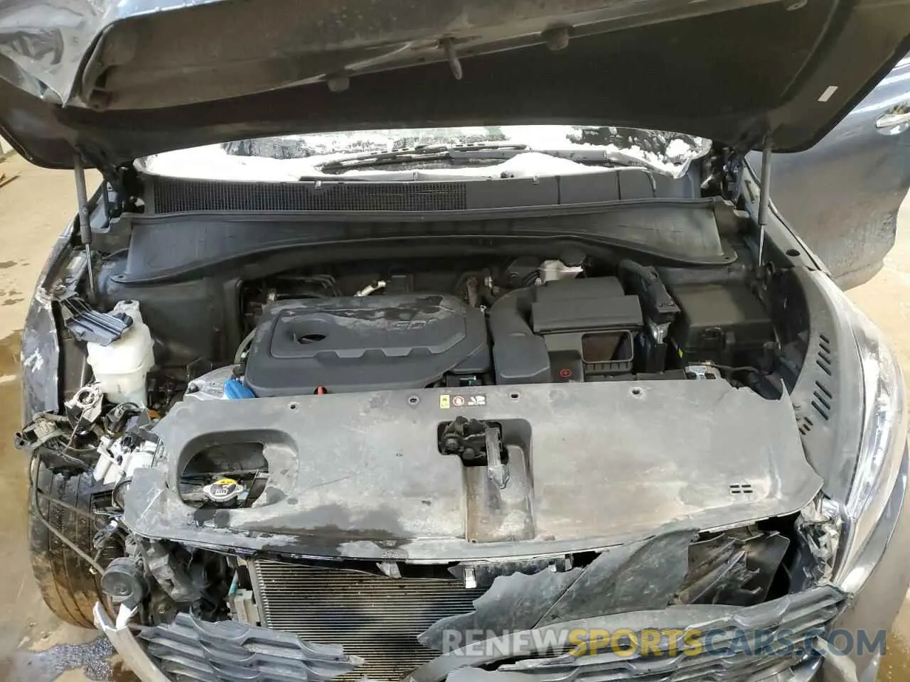 12 fotografías del automóvil dañado 5XYPG4A32KG548492 KIA SORENTO 2019