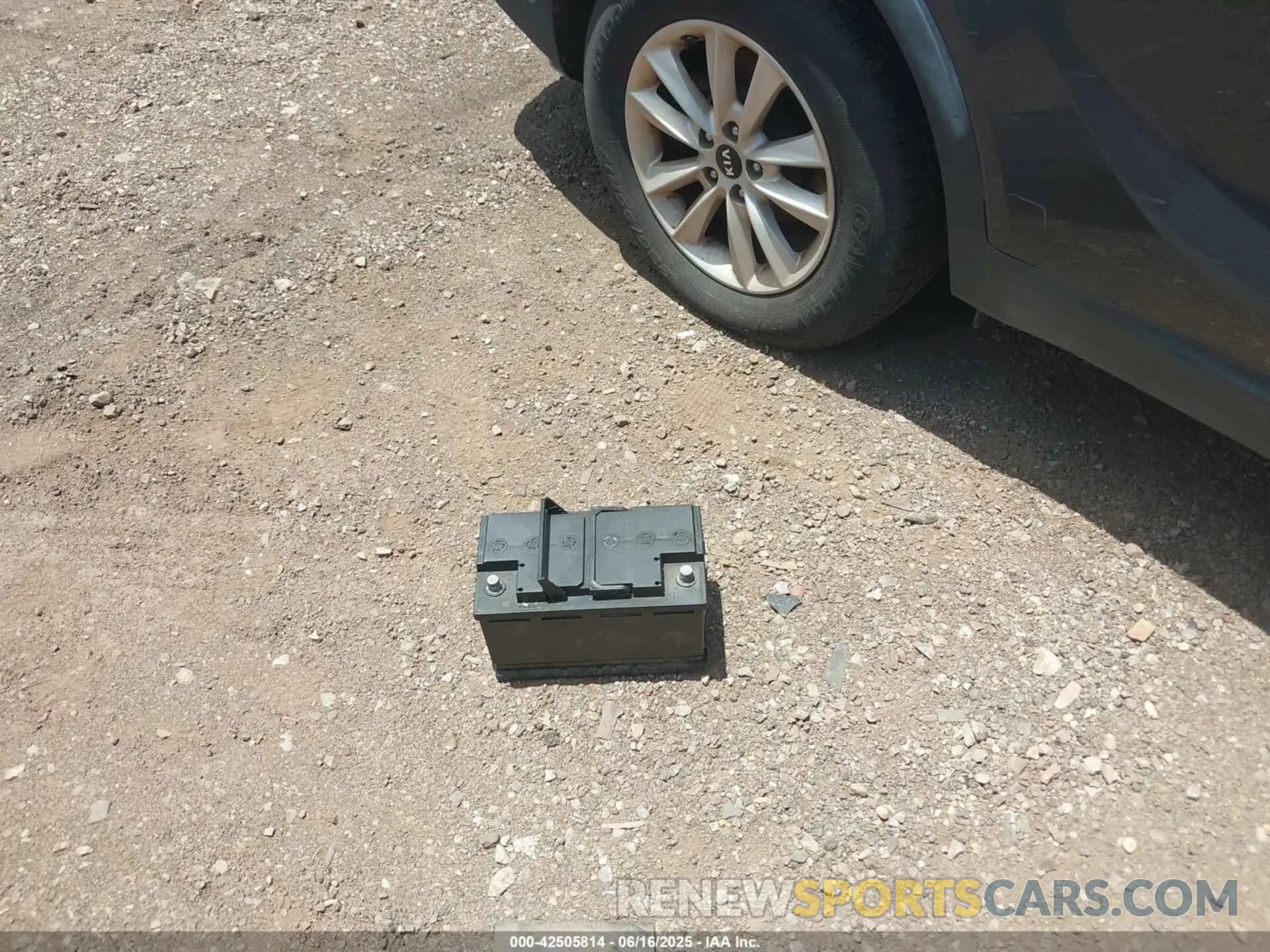 12 fotografías del automóvil dañado 5XYPG4A34KG445140 KIA SORENTO 2019
