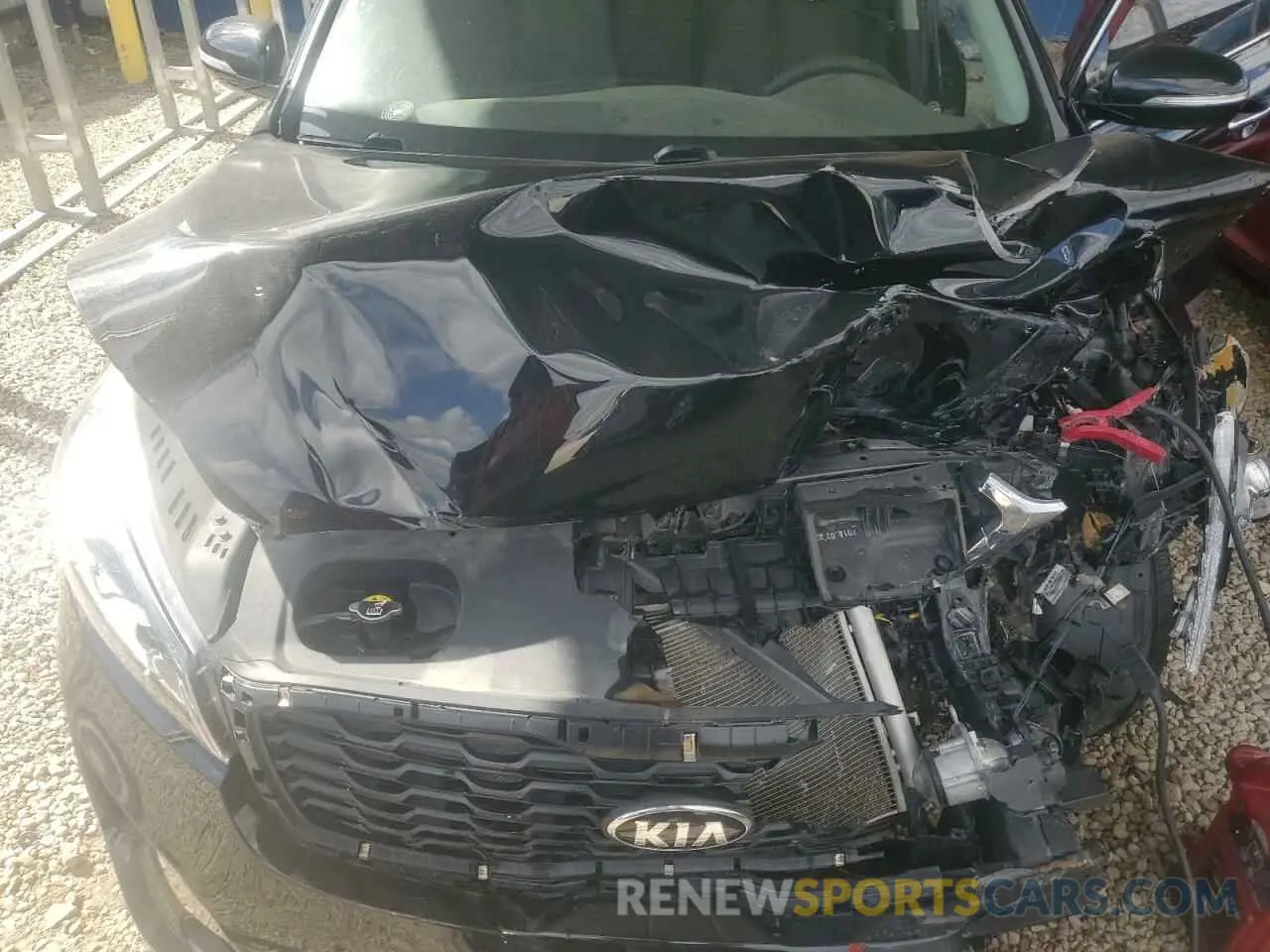 12 fotografías del automóvil dañado 5XYPG4A35KG533470 KIA SORENTO 2019