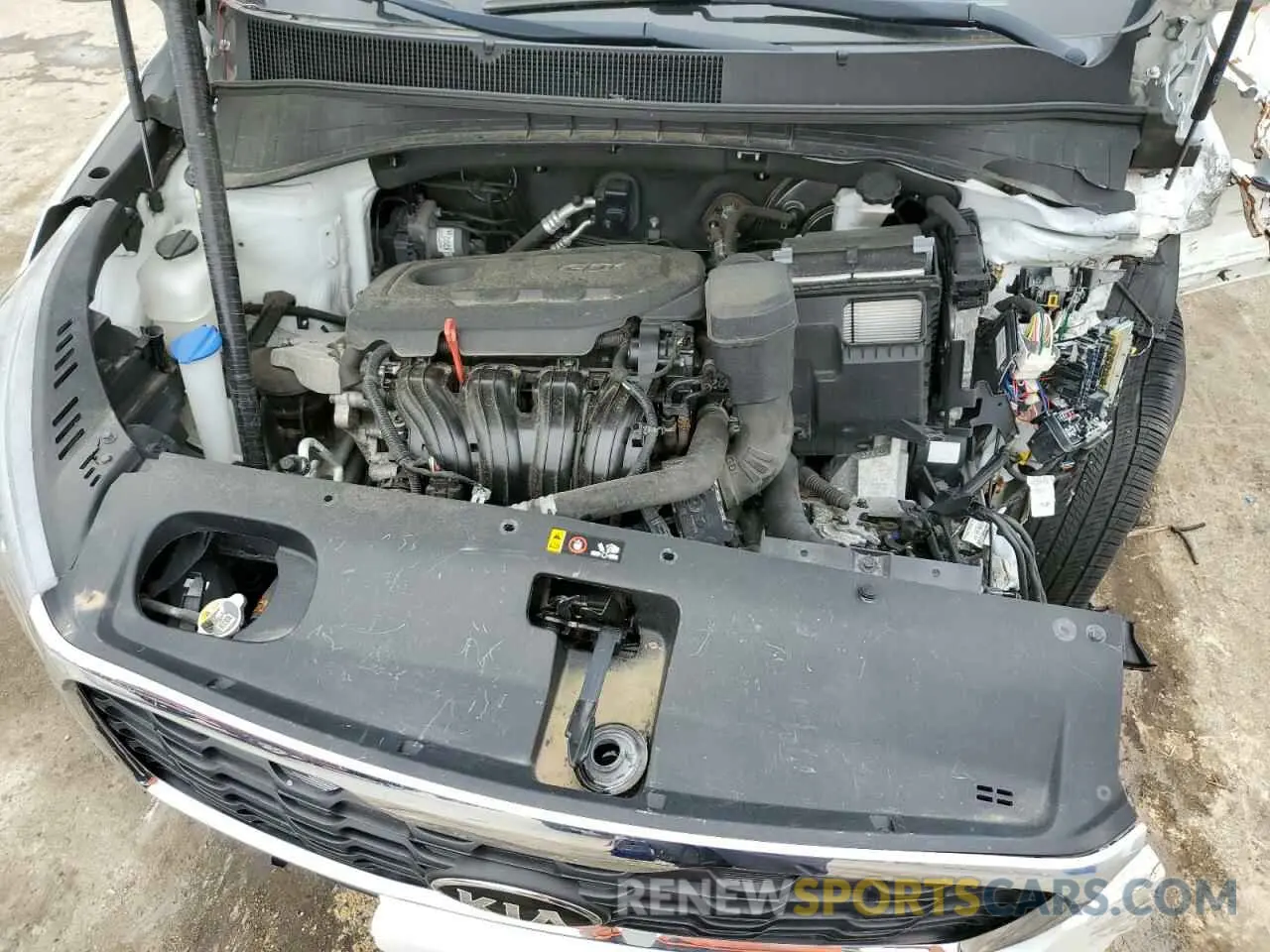 12 fotografías del automóvil dañado 5XYPG4A37KG531610 KIA SORENTO 2019