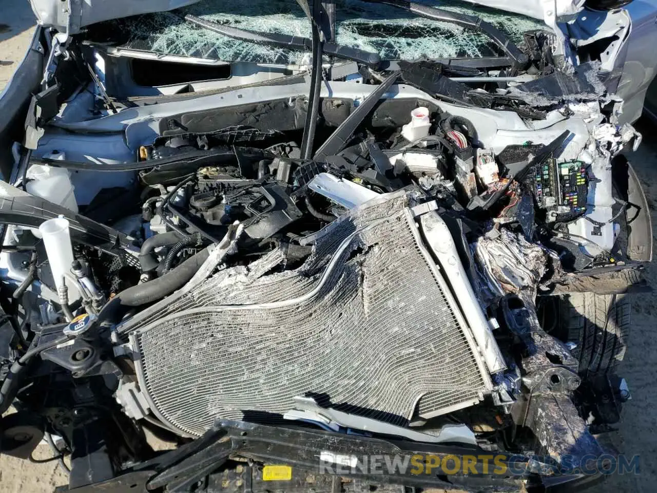 12 fotografías del automóvil dañado 5XYPGDA30LG709276 KIA SORENTO 2020