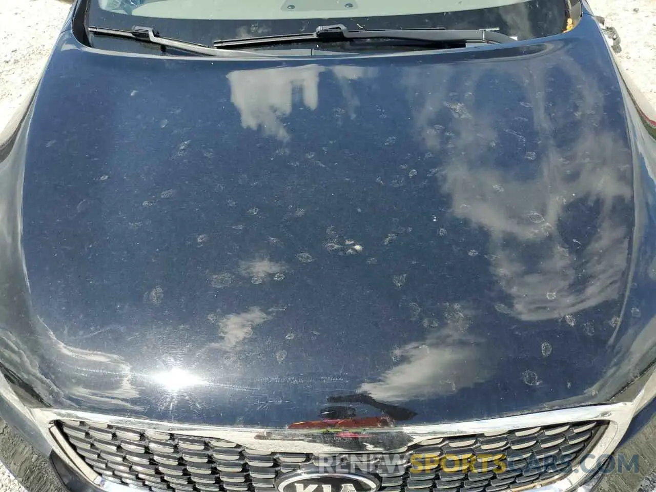12 fotografías del automóvil dañado 5XYPK4A58LG669917 KIA SORENTO 2020