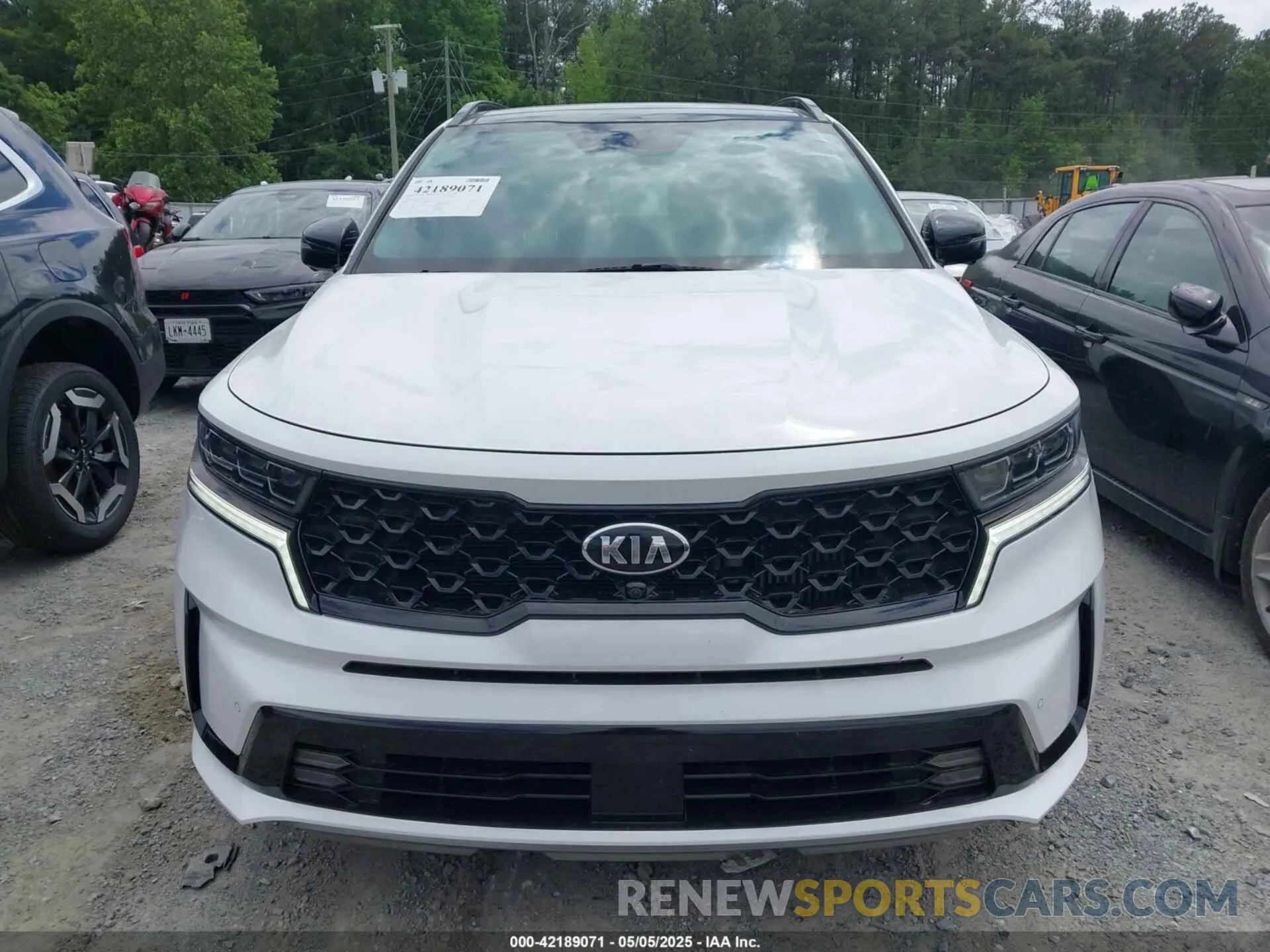 12 fotografías del automóvil dañado 5XYRK4LF9MG068631 KIA SORENTO 2021