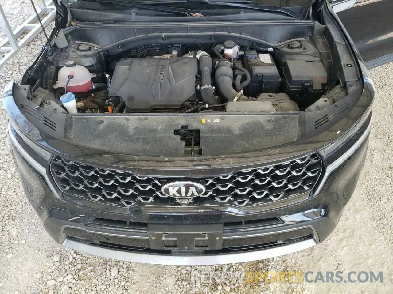 12 fotografías del automóvil dañado 5XYRKDLF1MG027894 KIA SORENTO 2021