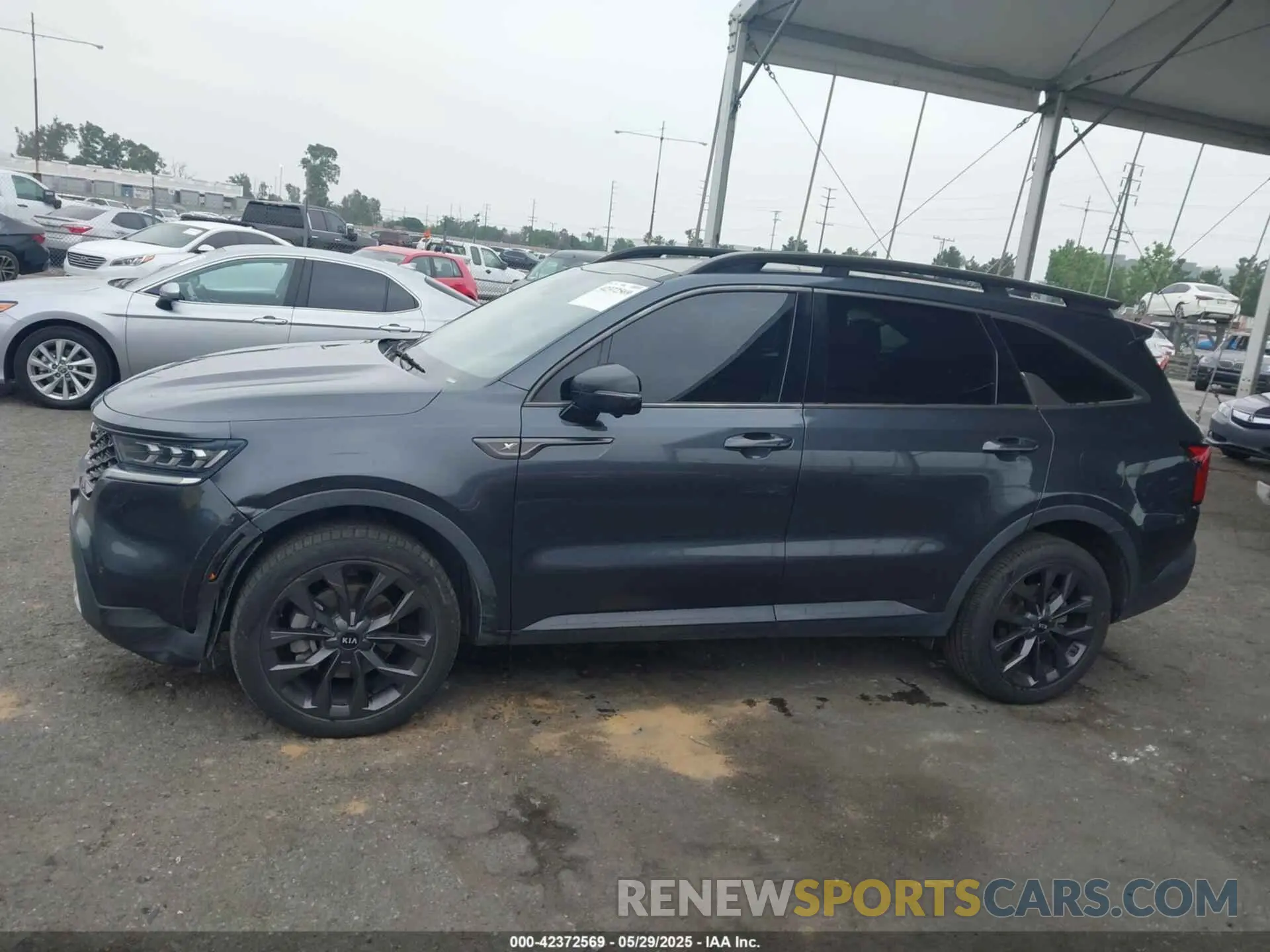14 fotografías del automóvil dañado 5XYRKDLF7MG016494 KIA SORENTO 2021