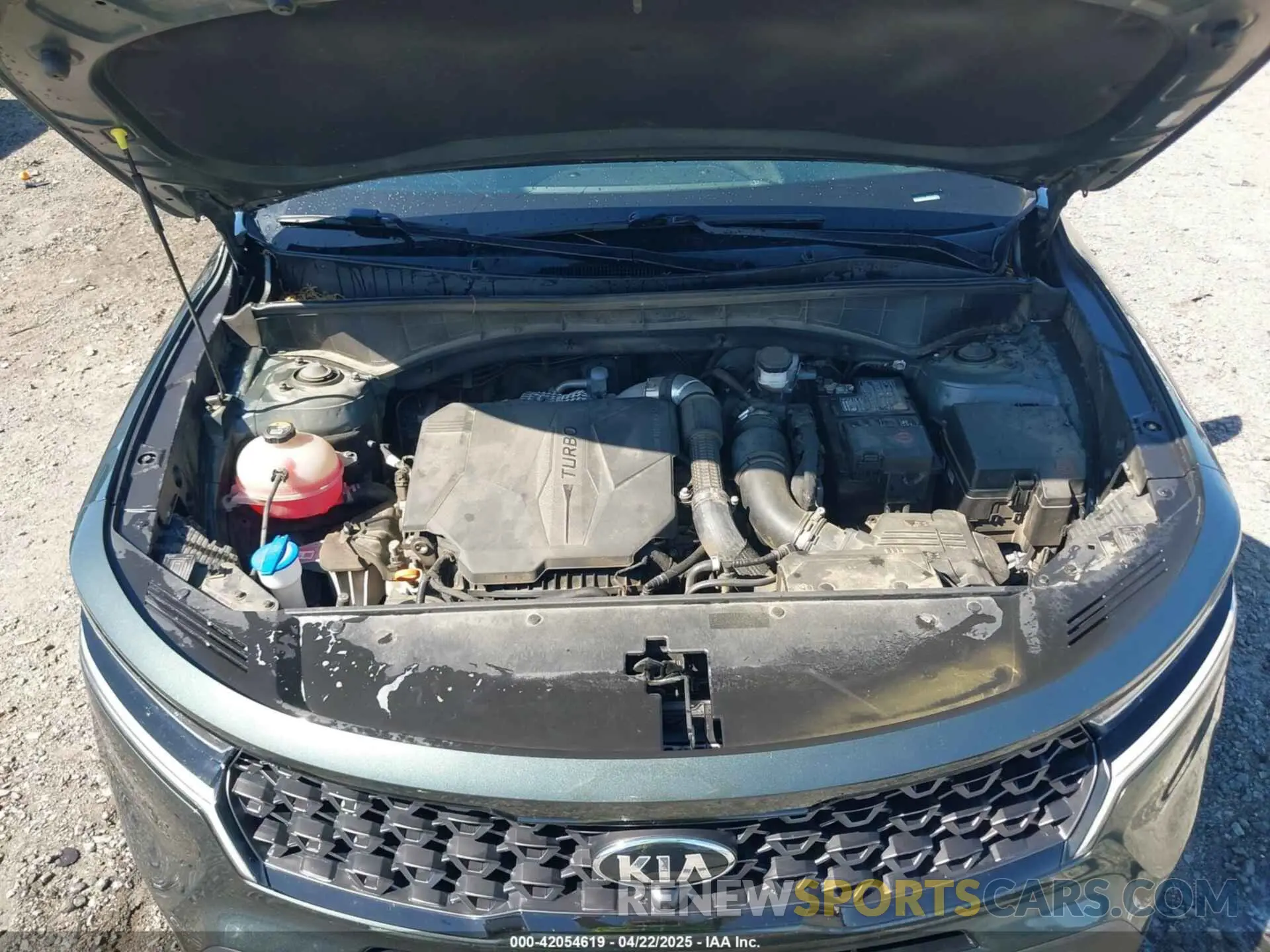 10 fotografías del automóvil dañado 5XYRKDLF9MG022684 KIA SORENTO 2021
