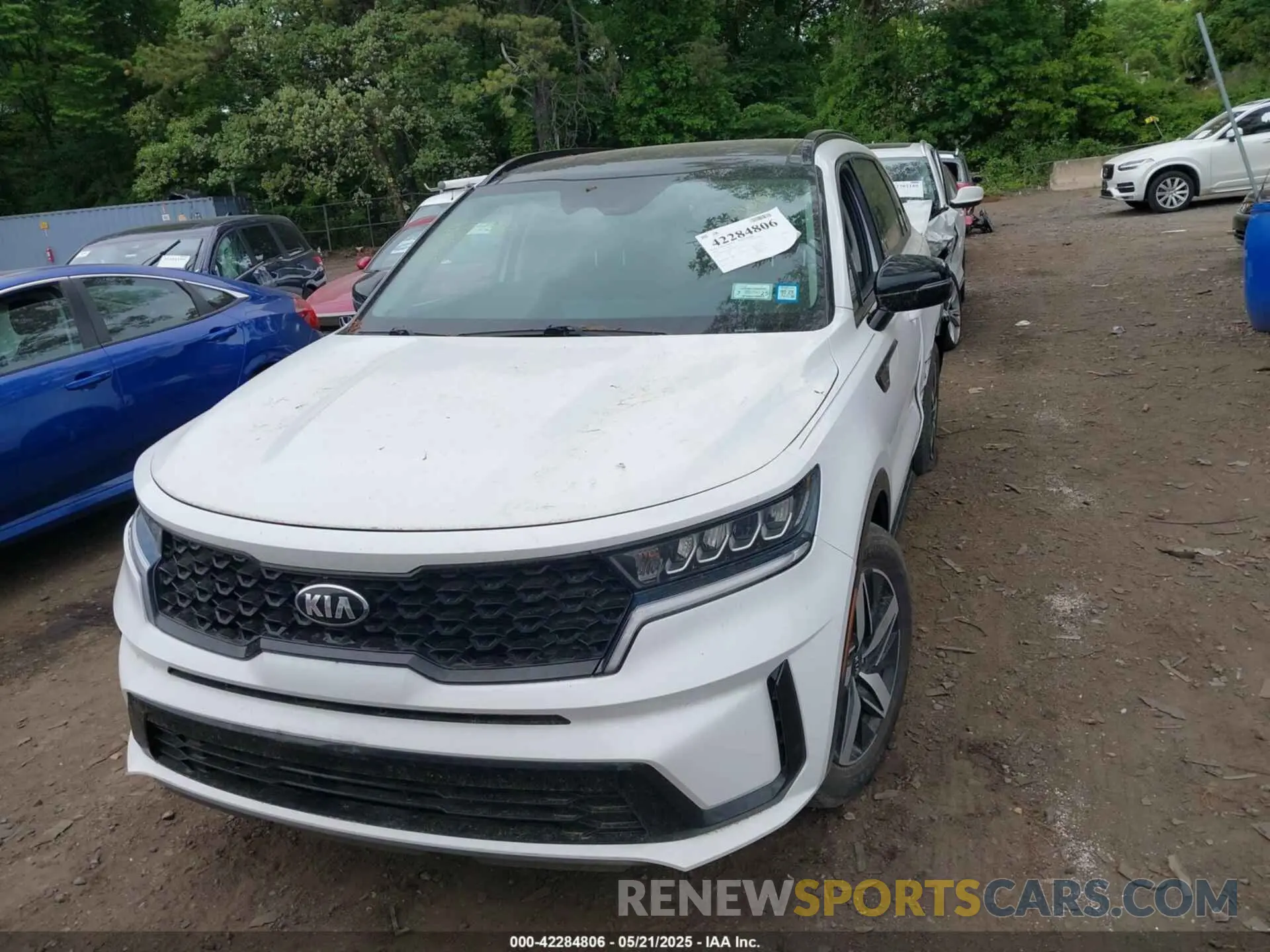 12 fotografías del automóvil dañado 5XYRL4LCXMG009736 KIA SORENTO 2021