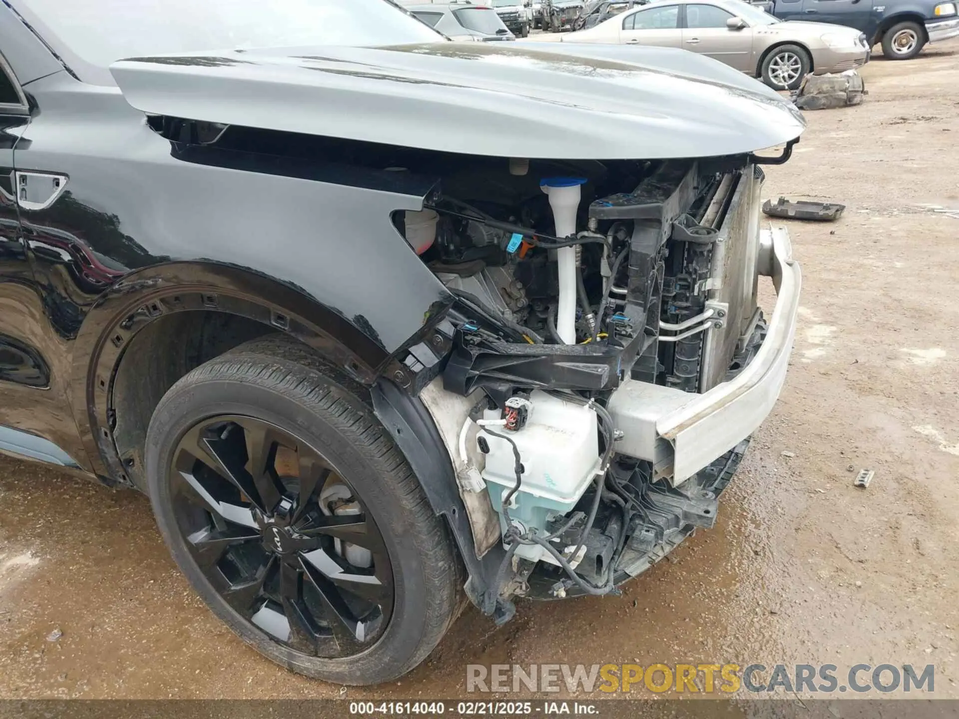 19 fotografías del automóvil dañado 5XYRKDLF8NG161562 KIA SORENTO 2022