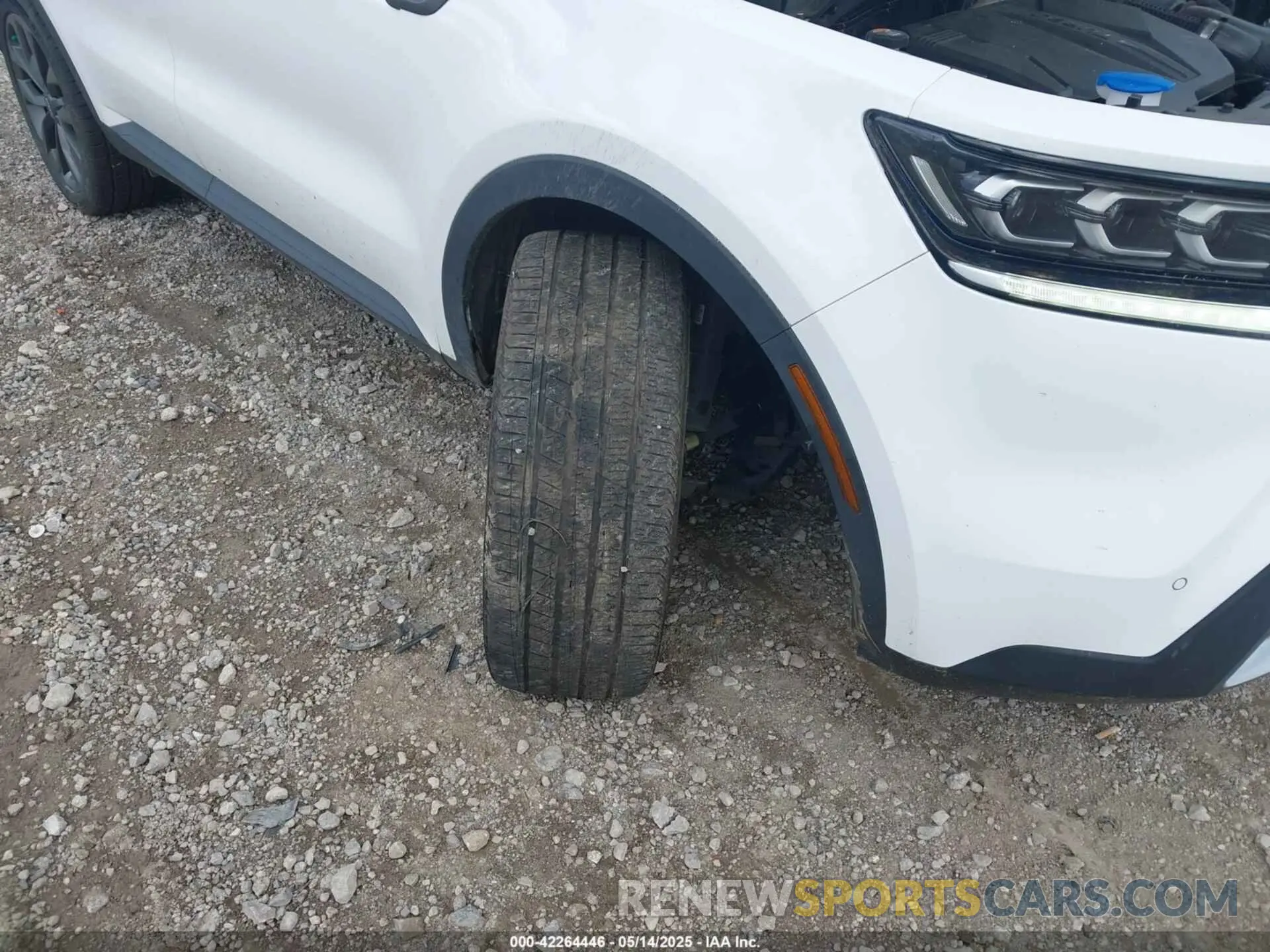 6 fotografías del automóvil dañado 5XYRKDLF9NG133642 KIA SORENTO 2022