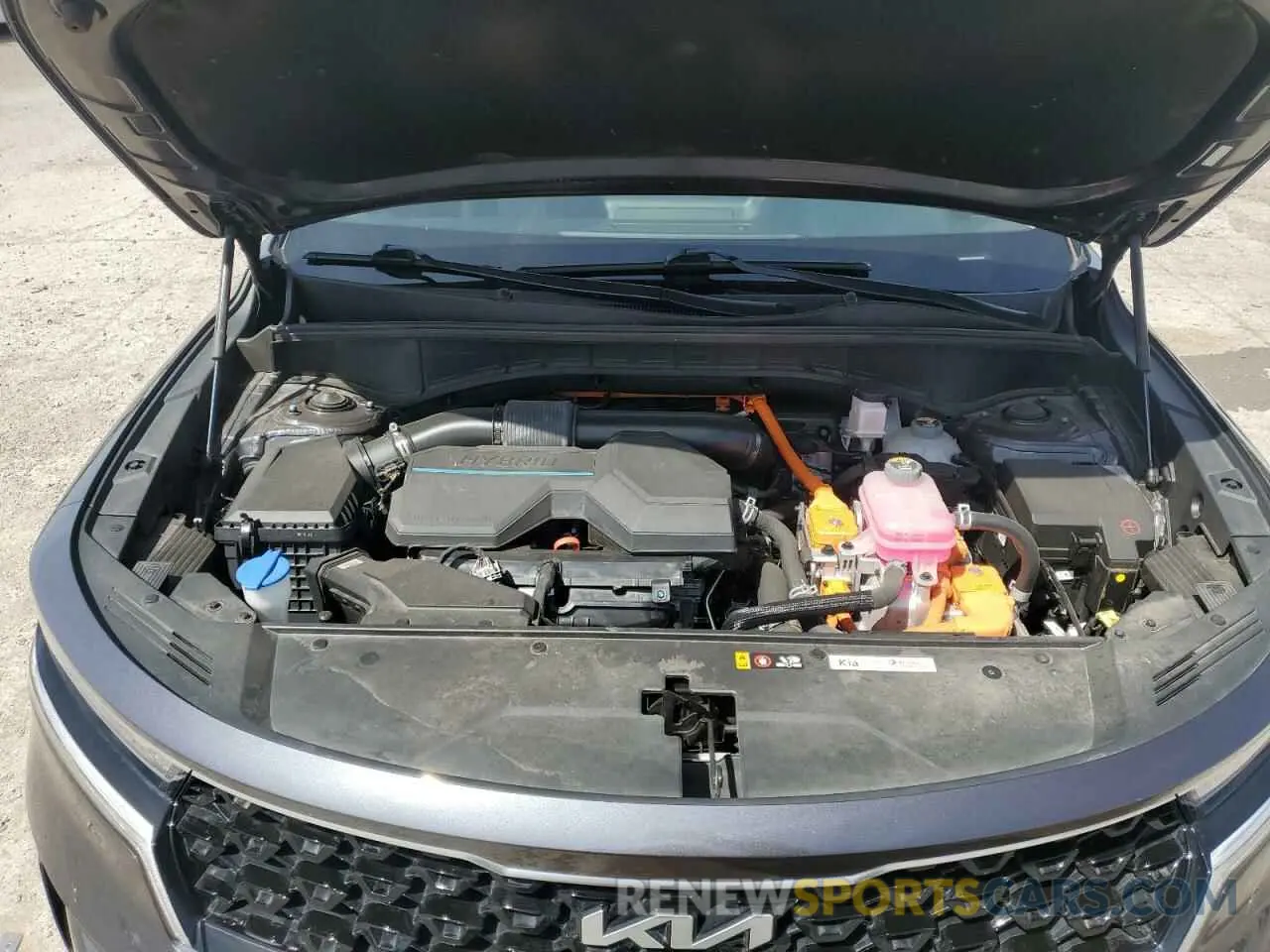 12 fotografías del automóvil dañado KNDRGDLG4N5081498 KIA SORENTO 2022