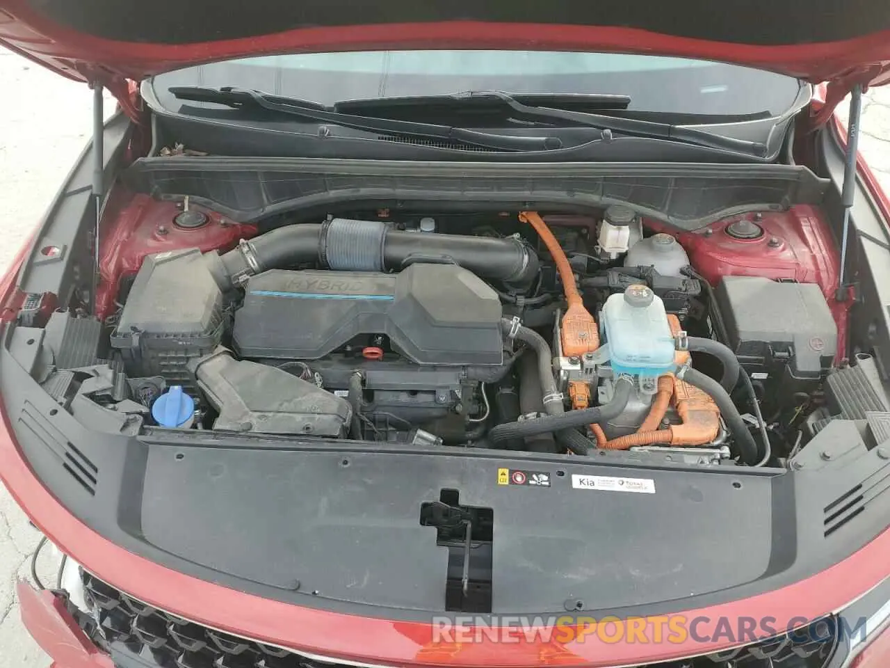 13 fotografías del automóvil dañado KNDRJDLH2N5089836 KIA SORENTO 2022
