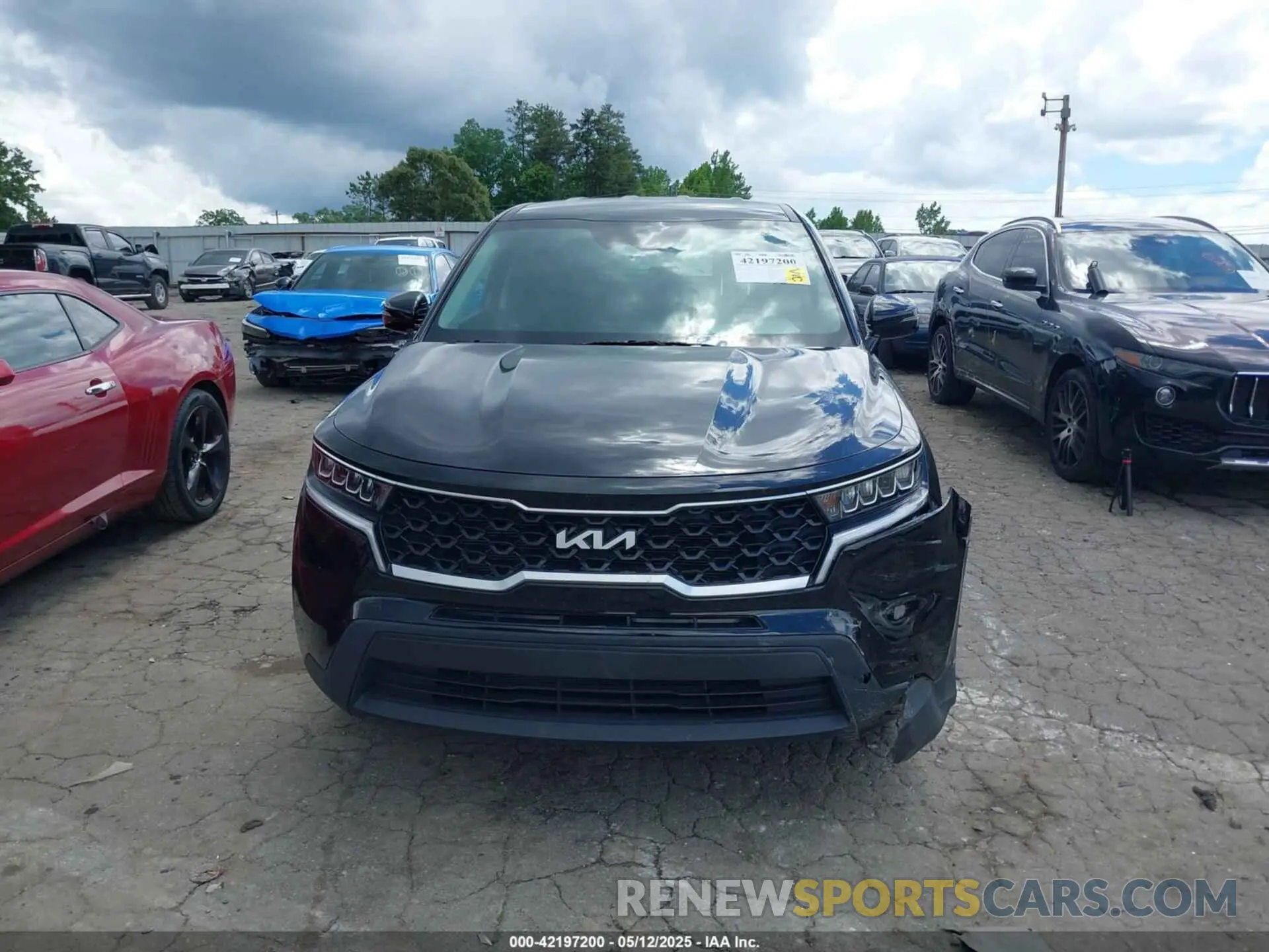 12 fotografías del automóvil dañado 5XYRG4LC1PG226455 KIA SORENTO 2023
