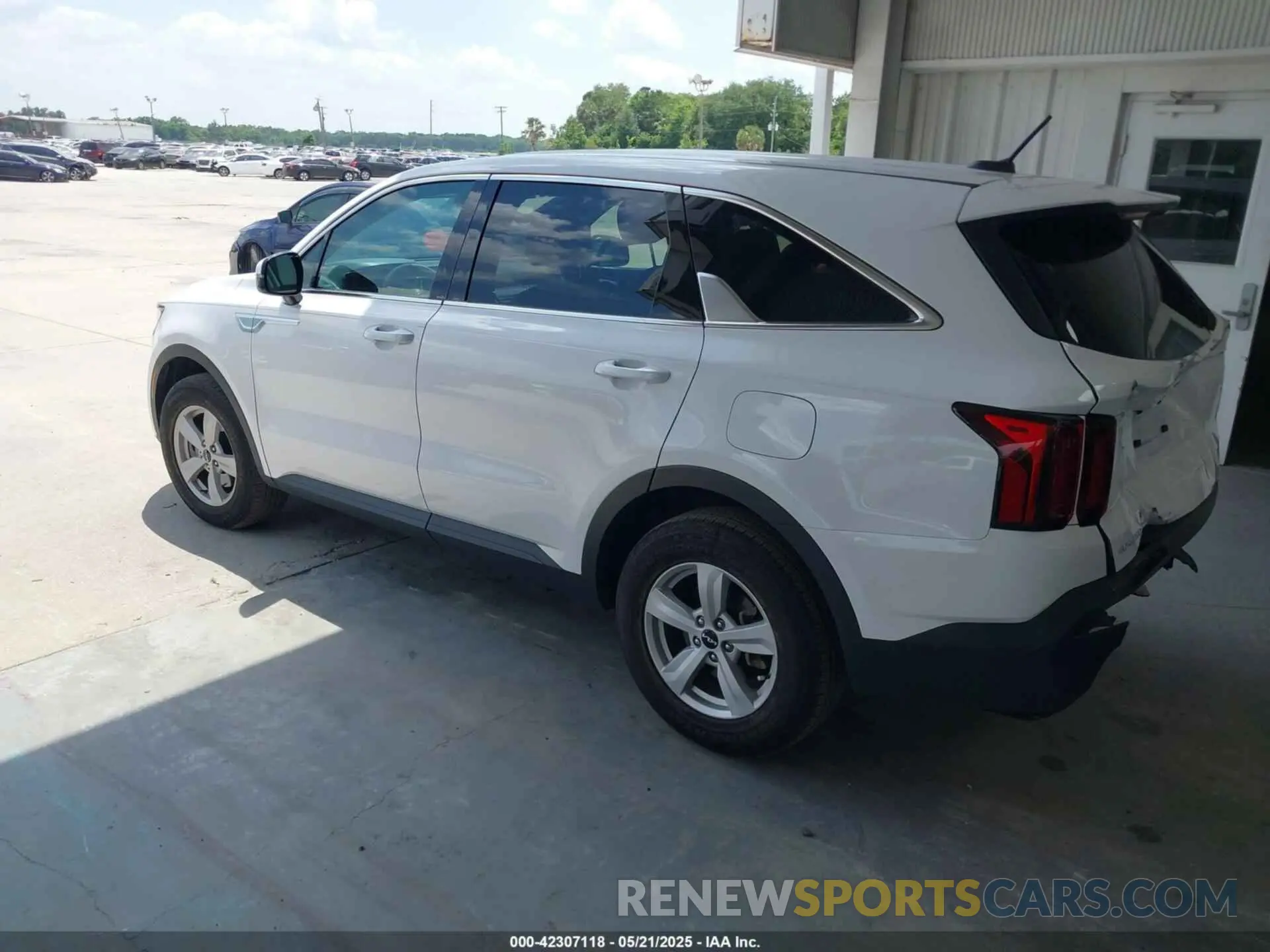3 fotografías del automóvil dañado 5XYRG4LC3PG252250 KIA SORENTO 2023
