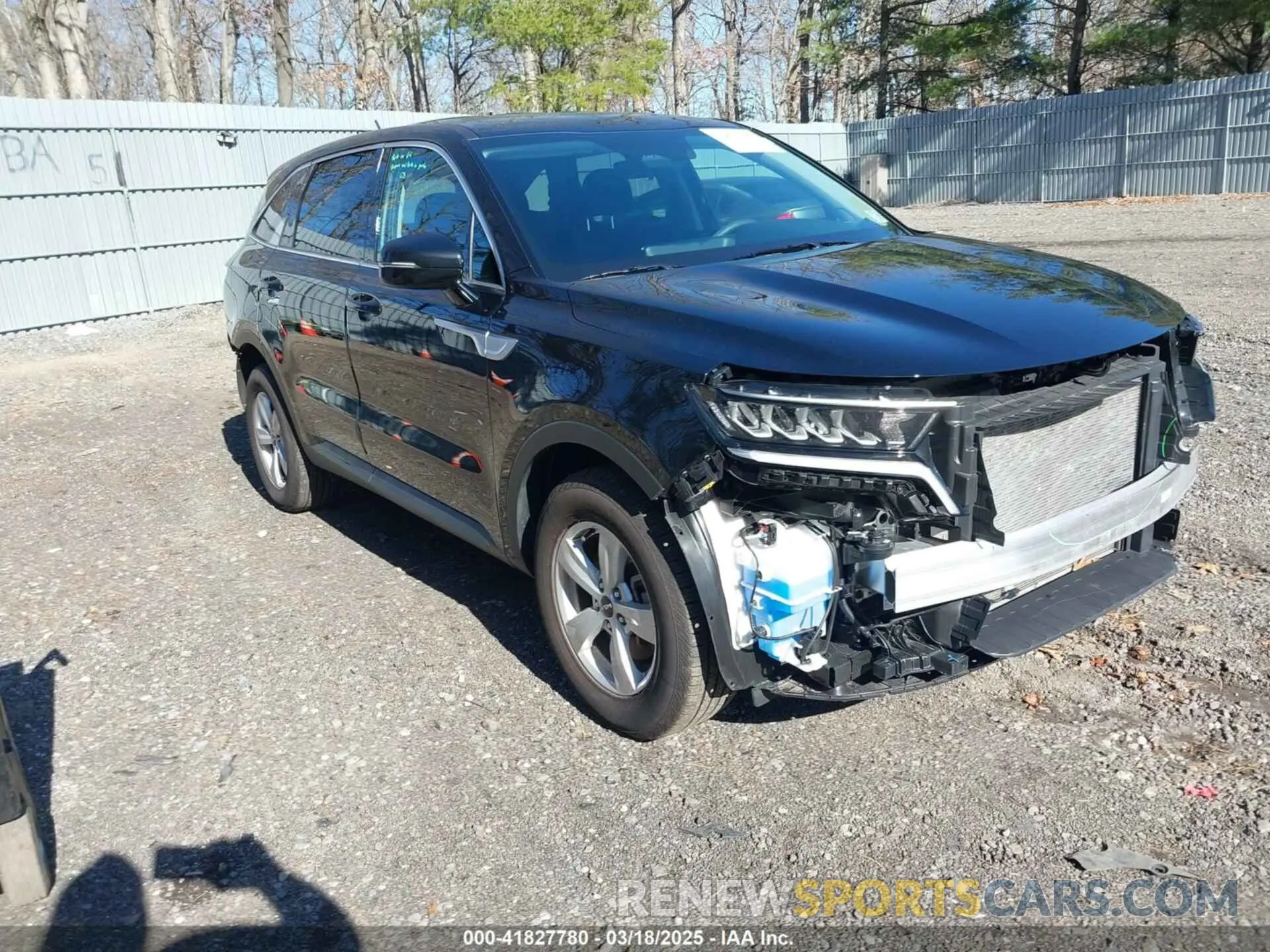 1 fotografías del automóvil dañado 5XYRG4LCXPG249670 KIA SORENTO 2023
