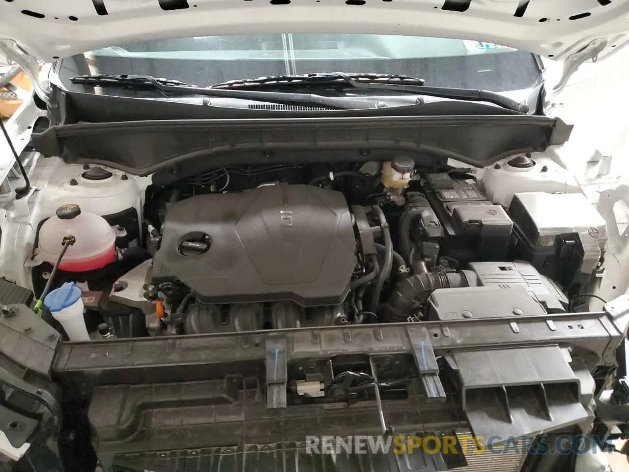 12 fotografías del automóvil dañado 5XYRGDLC9PG221228 KIA SORENTO 2023