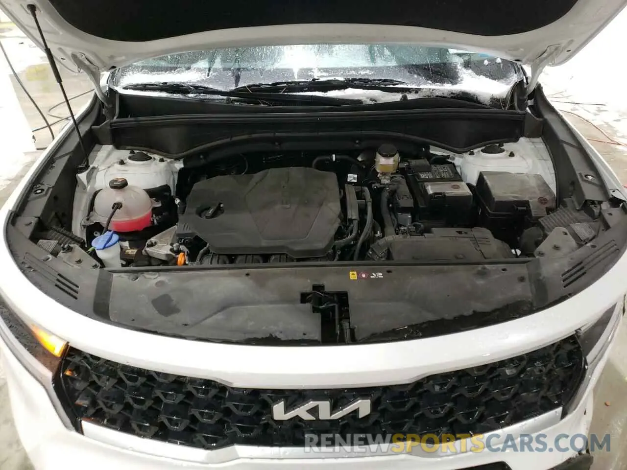 12 fotografías del automóvil dañado 5XYRGDLC9PG242953 KIA SORENTO 2023