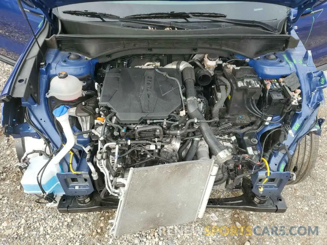 12 fotografías del automóvil dañado 5XYRK4LF0PG216489 KIA SORENTO 2023