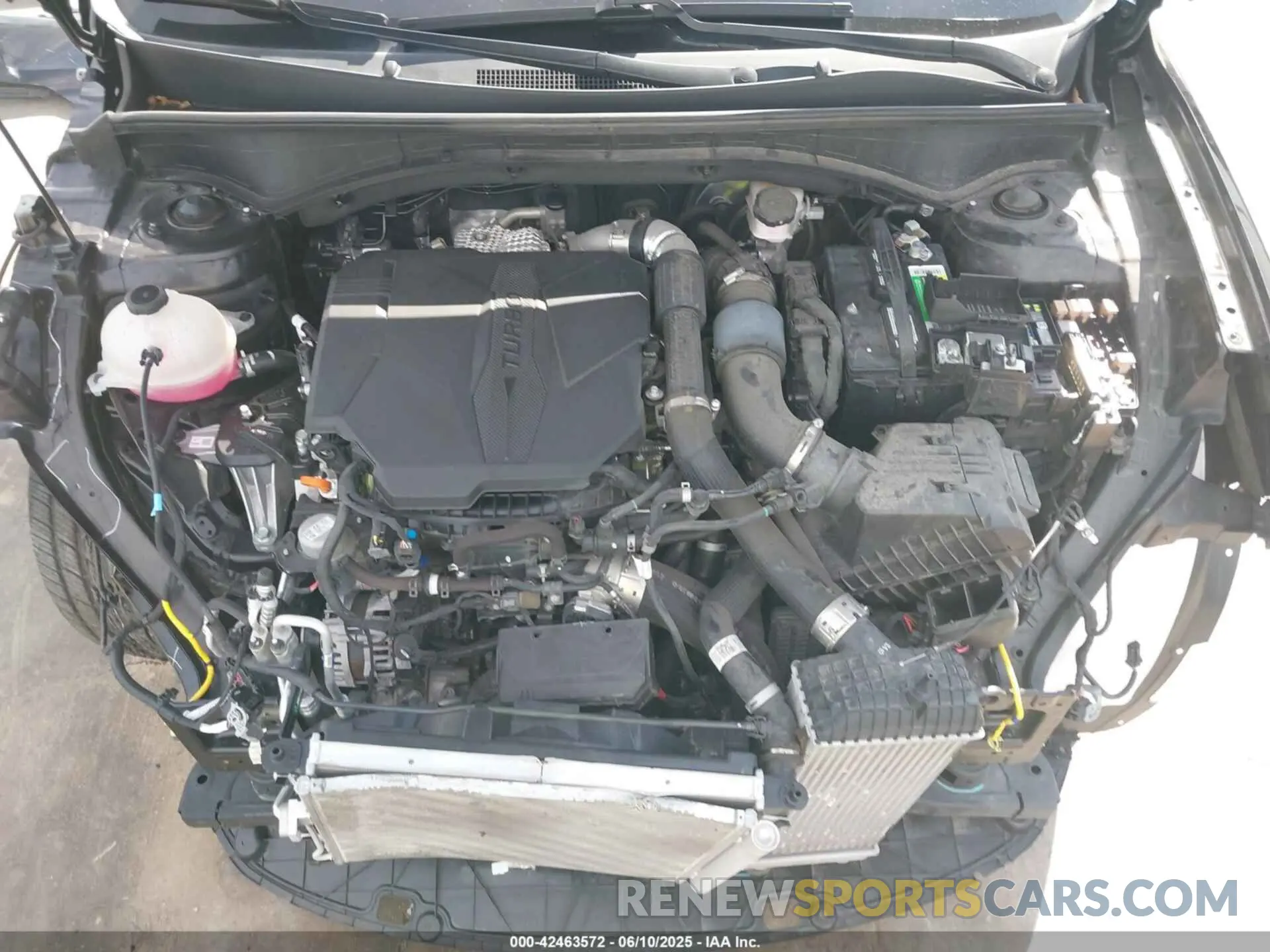 10 fotografías del automóvil dañado 5XYRK4LFXPG202339 KIA SORENTO 2023