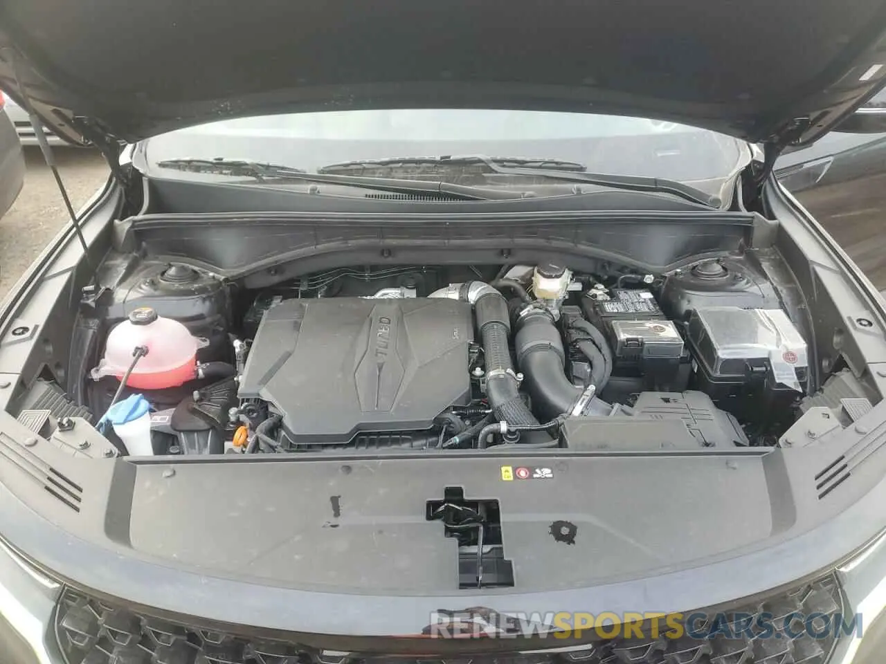12 fotografías del automóvil dañado 5XYRKDLF0PG238055 KIA SORENTO 2023