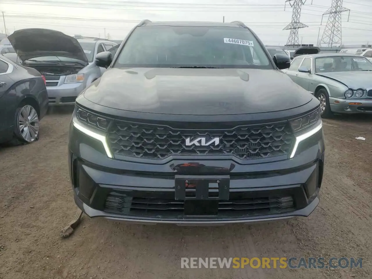 5 fotografías del automóvil dañado 5XYRKDLF0PG238055 KIA SORENTO 2023