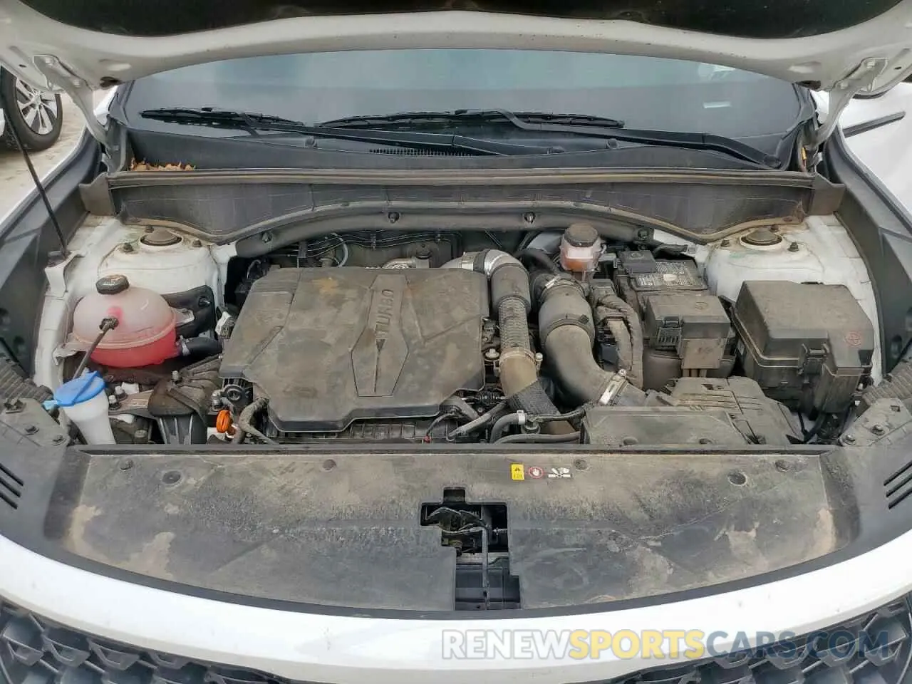 12 fotografías del automóvil dañado 5XYRKDLF6PG208350 KIA SORENTO 2023