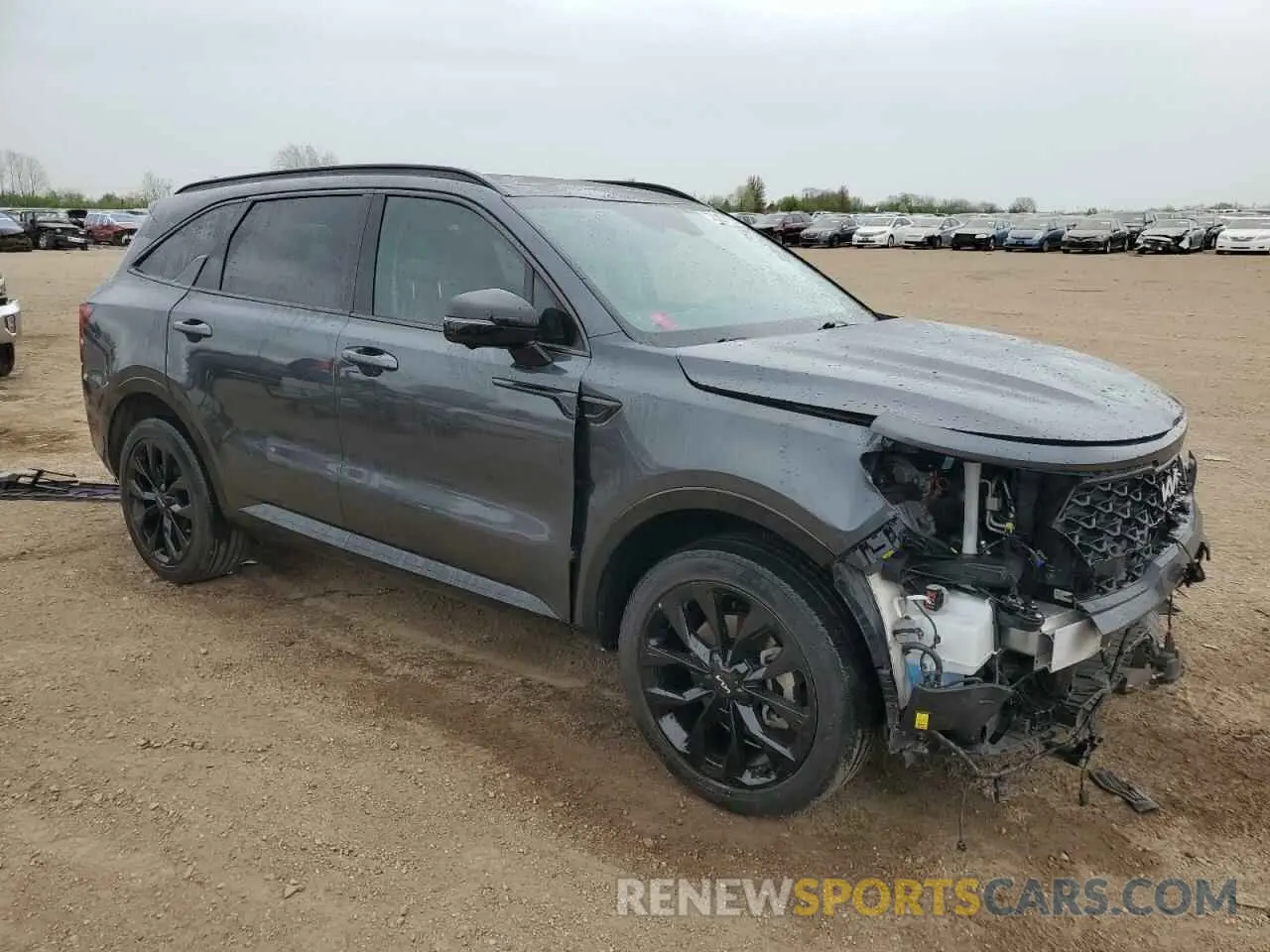 4 fotografías del automóvil dañado 5XYRKDLF7PG219728 KIA SORENTO 2023