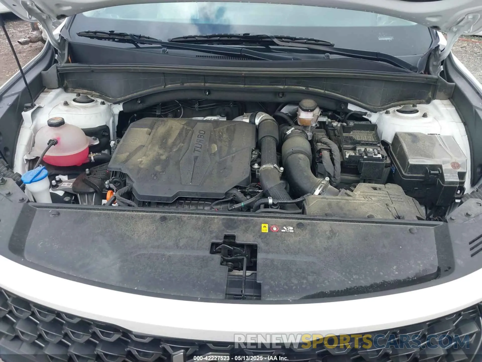10 fotografías del automóvil dañado 5XYRKDLF7PG229269 KIA SORENTO 2023