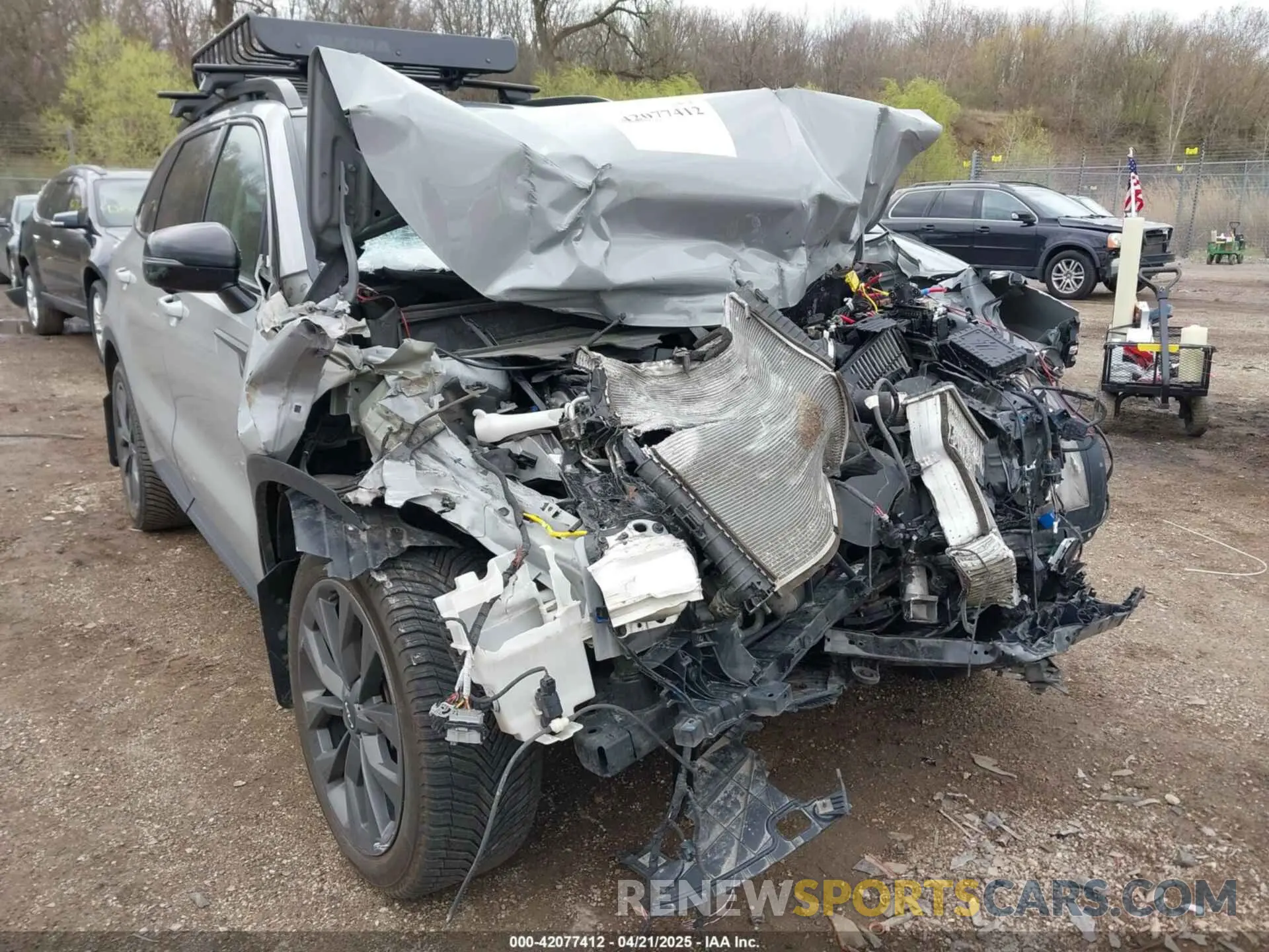 12 fotografías del automóvil dañado 5XYRKDLF9PG164070 KIA SORENTO 2023