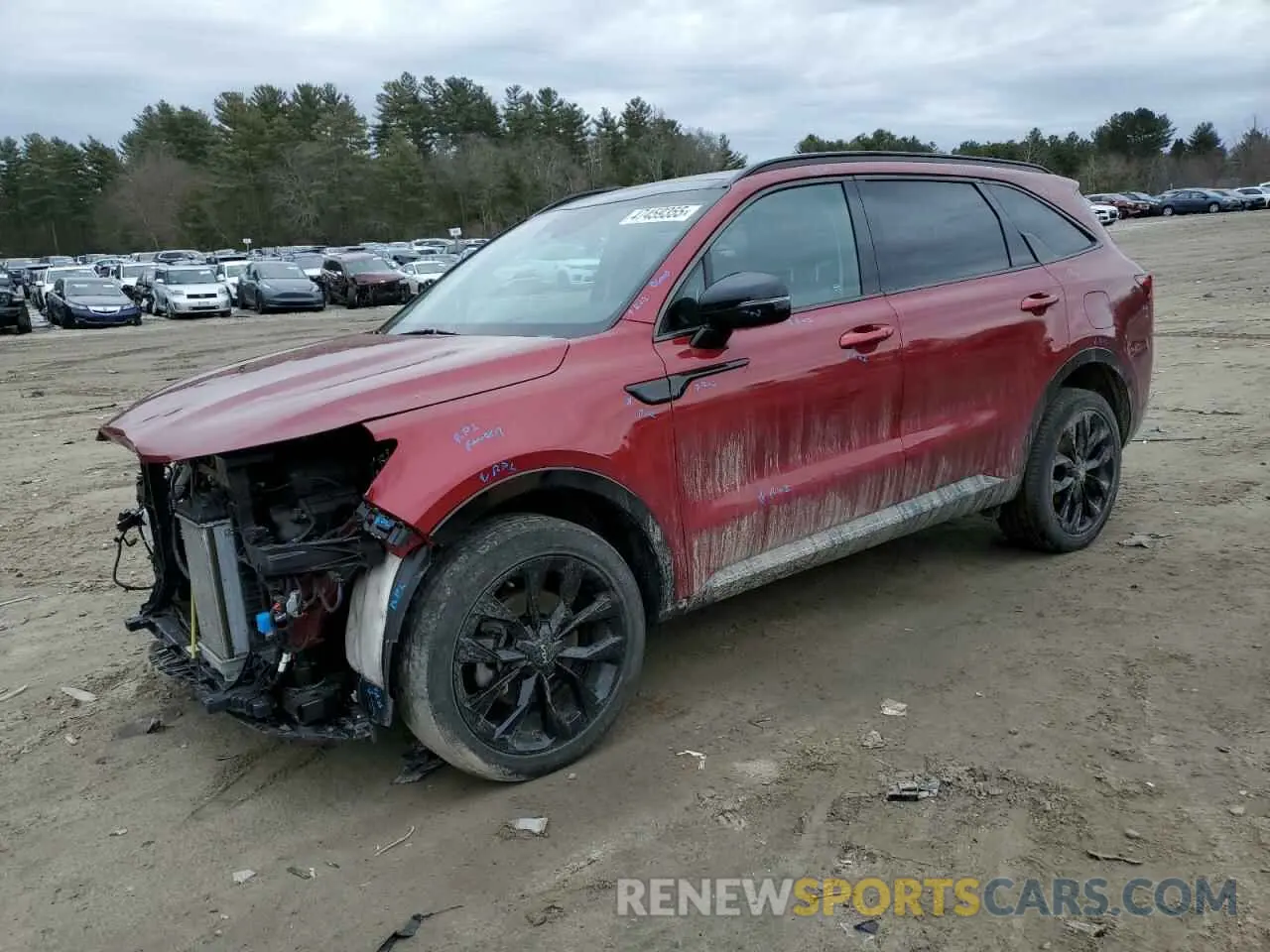 1 fotografías del automóvil dañado 5XYRKDLF9PG183038 KIA SORENTO 2023