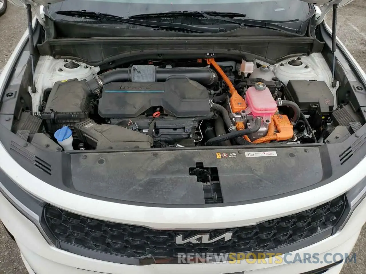 12 fotografías del automóvil dañado KNDRH4LG8P5225991 KIA SORENTO 2023