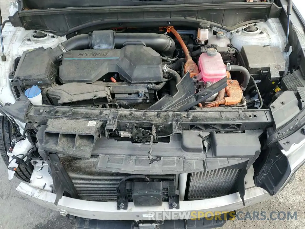 12 fotografías del automóvil dañado KNDRHDLG0P5161512 KIA SORENTO 2023