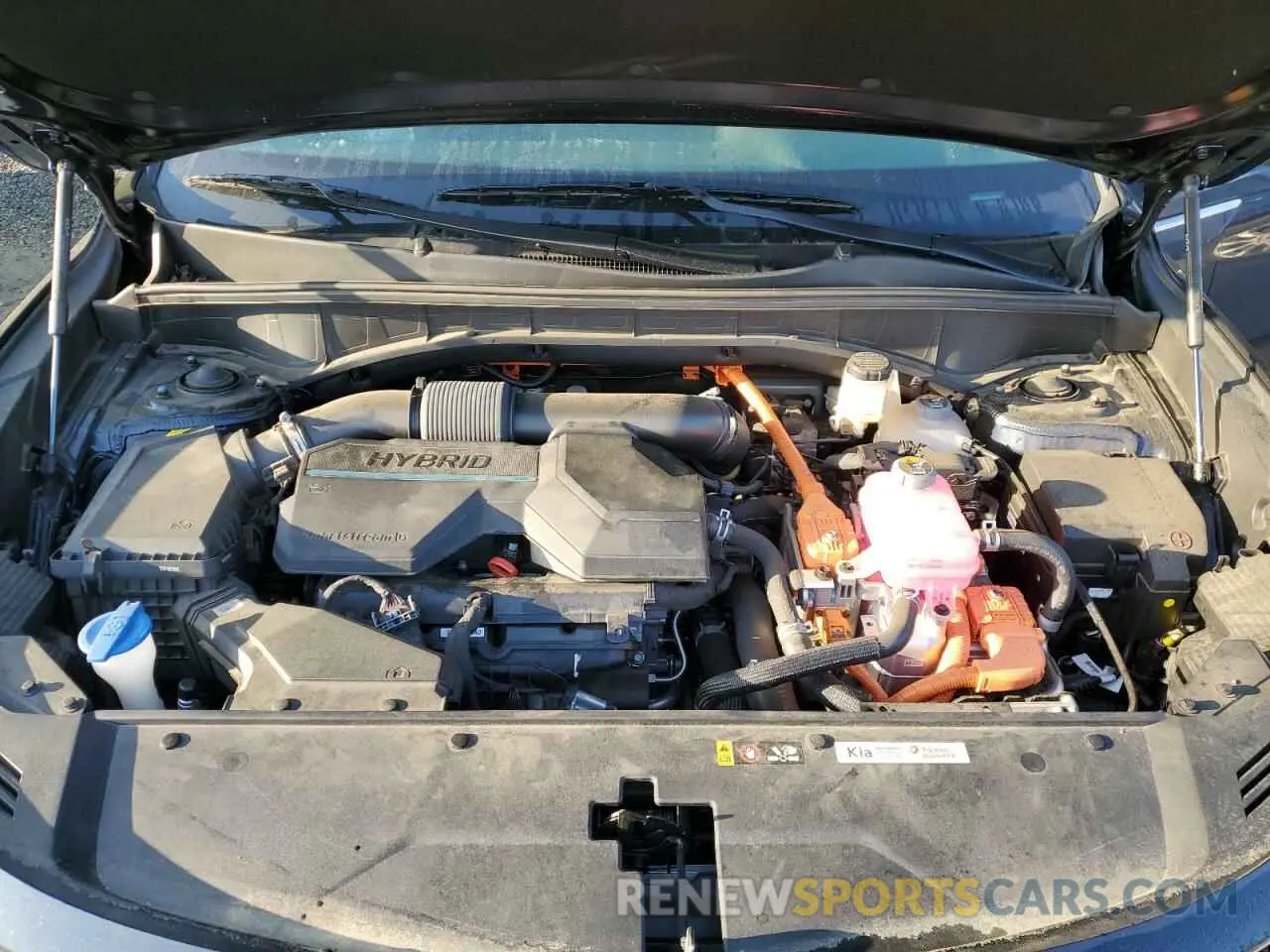 12 fotografías del automóvil dañado KNDRHDLGXP5187888 KIA SORENTO 2023