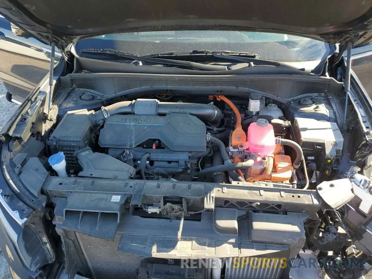 13 fotografías del automóvil dañado KNDRKDLG4P5163183 KIA SORENTO 2023