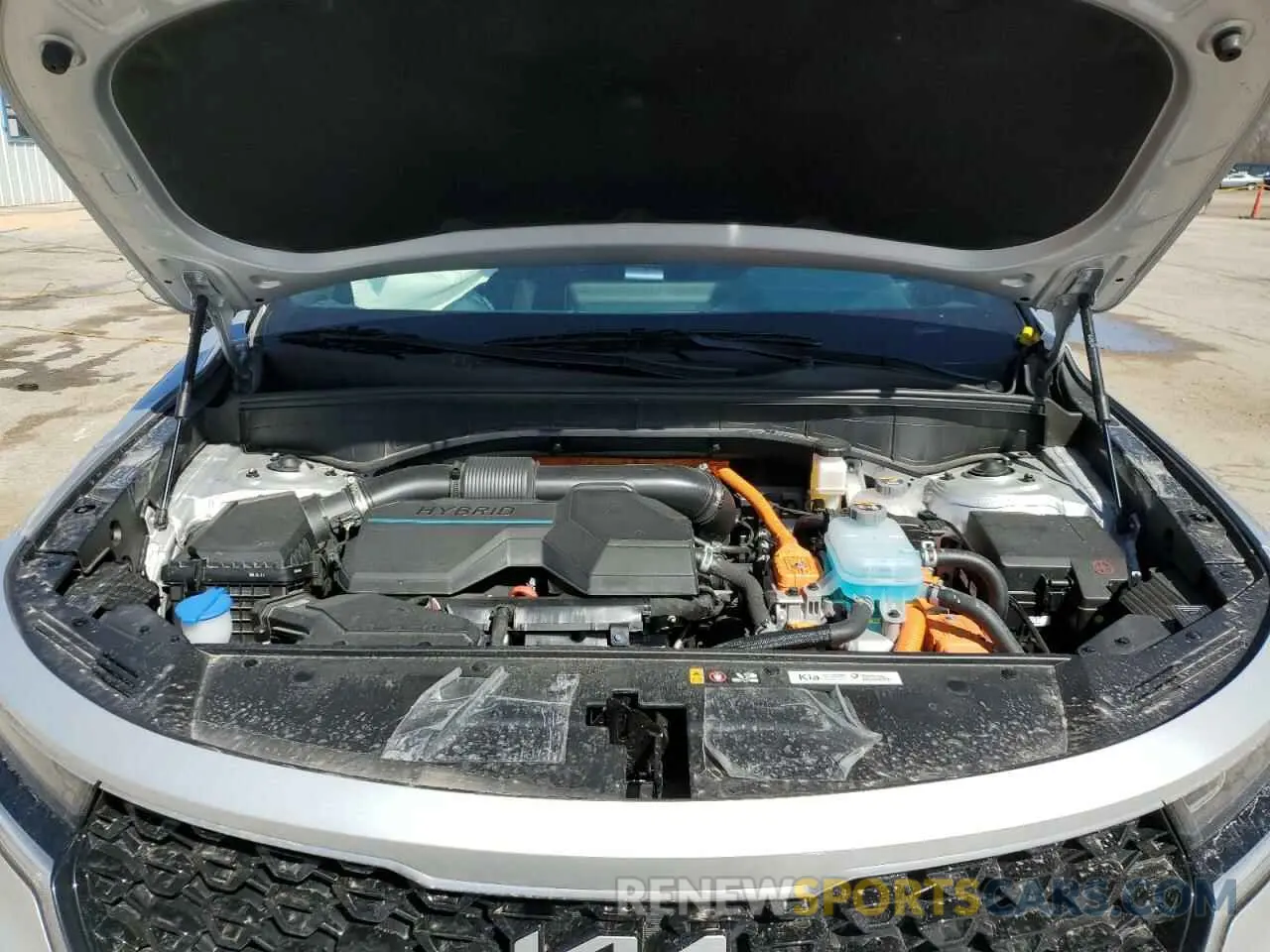 12 fotografías del automóvil dañado KNDRMDLH0P5208199 KIA SORENTO 2023