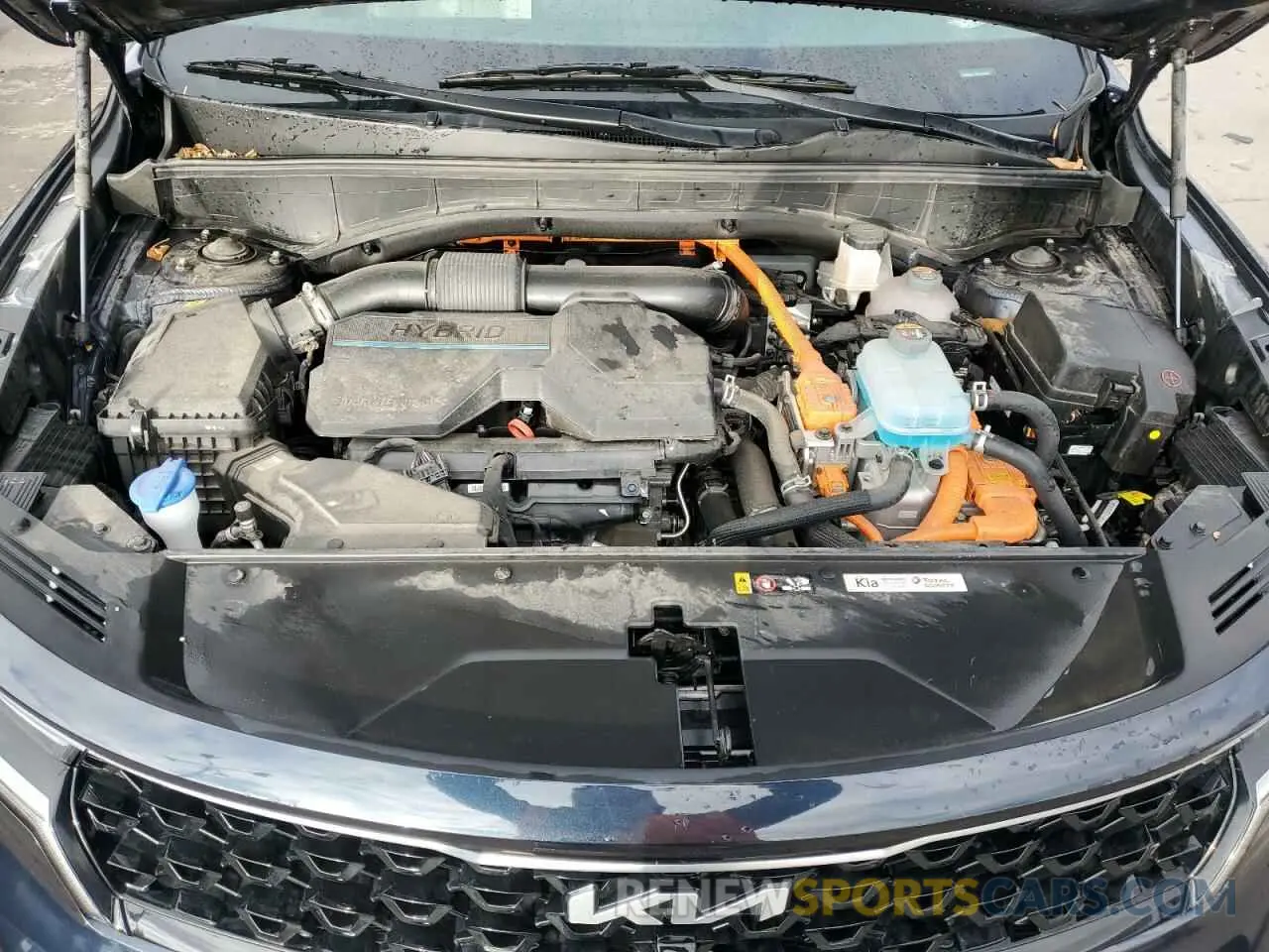 12 fotografías del automóvil dañado KNDRMDLH7P5201542 KIA SORENTO 2023