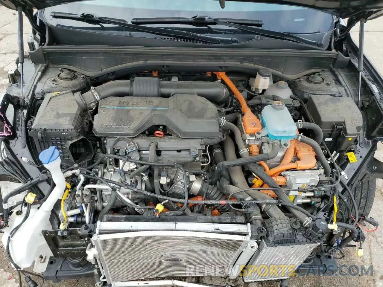 12 fotografías del automóvil dañado KNDRMDLHXP5213992 KIA SORENTO 2023