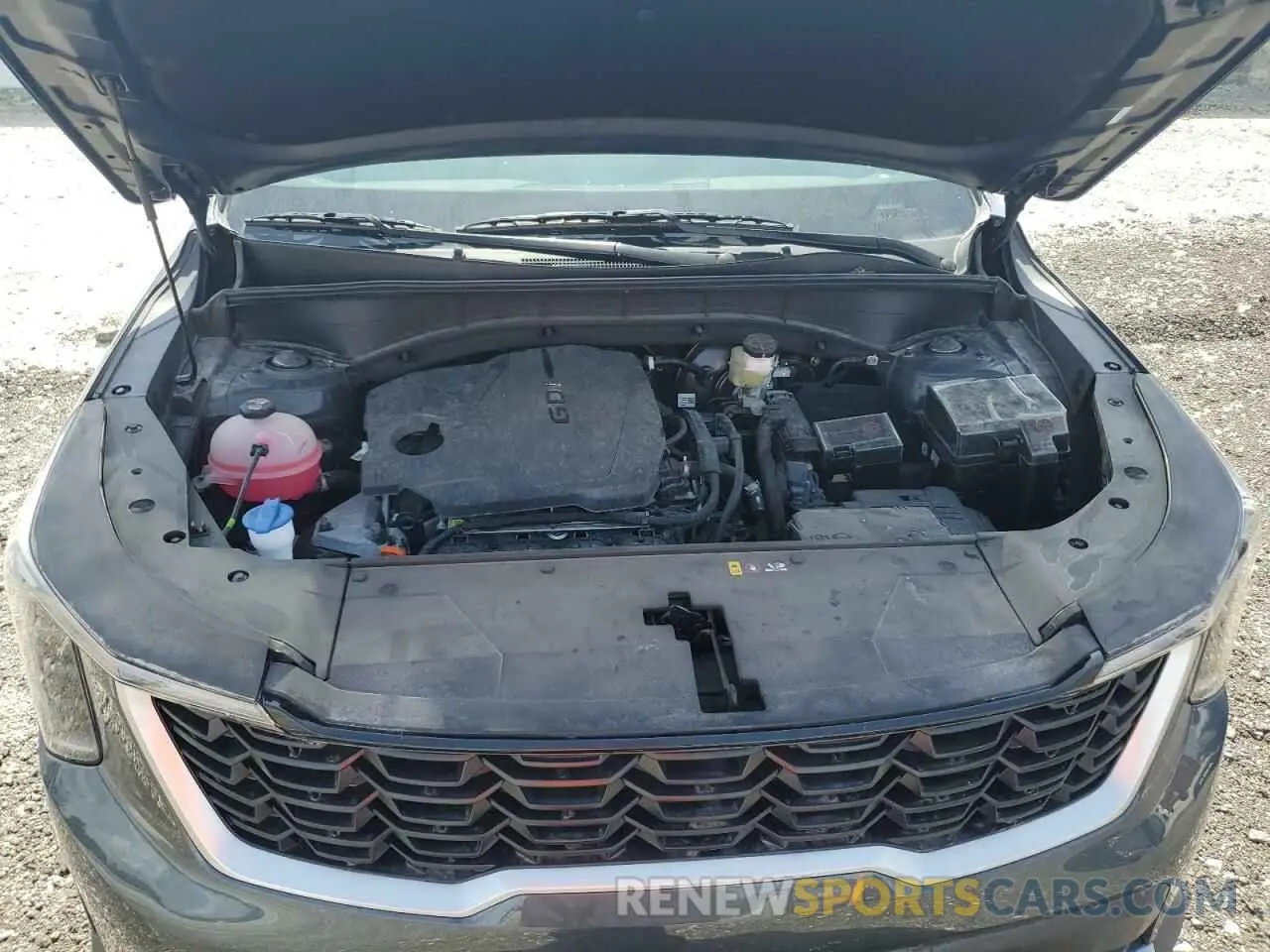 12 fotografías del automóvil dañado 5XYRG4JC6RG306002 KIA SORENTO 2024