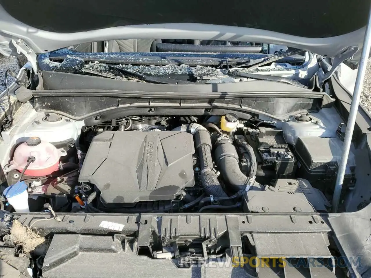 12 fotografías del automóvil dañado 5XYRKDJF3RG287806 KIA SORENTO 2024