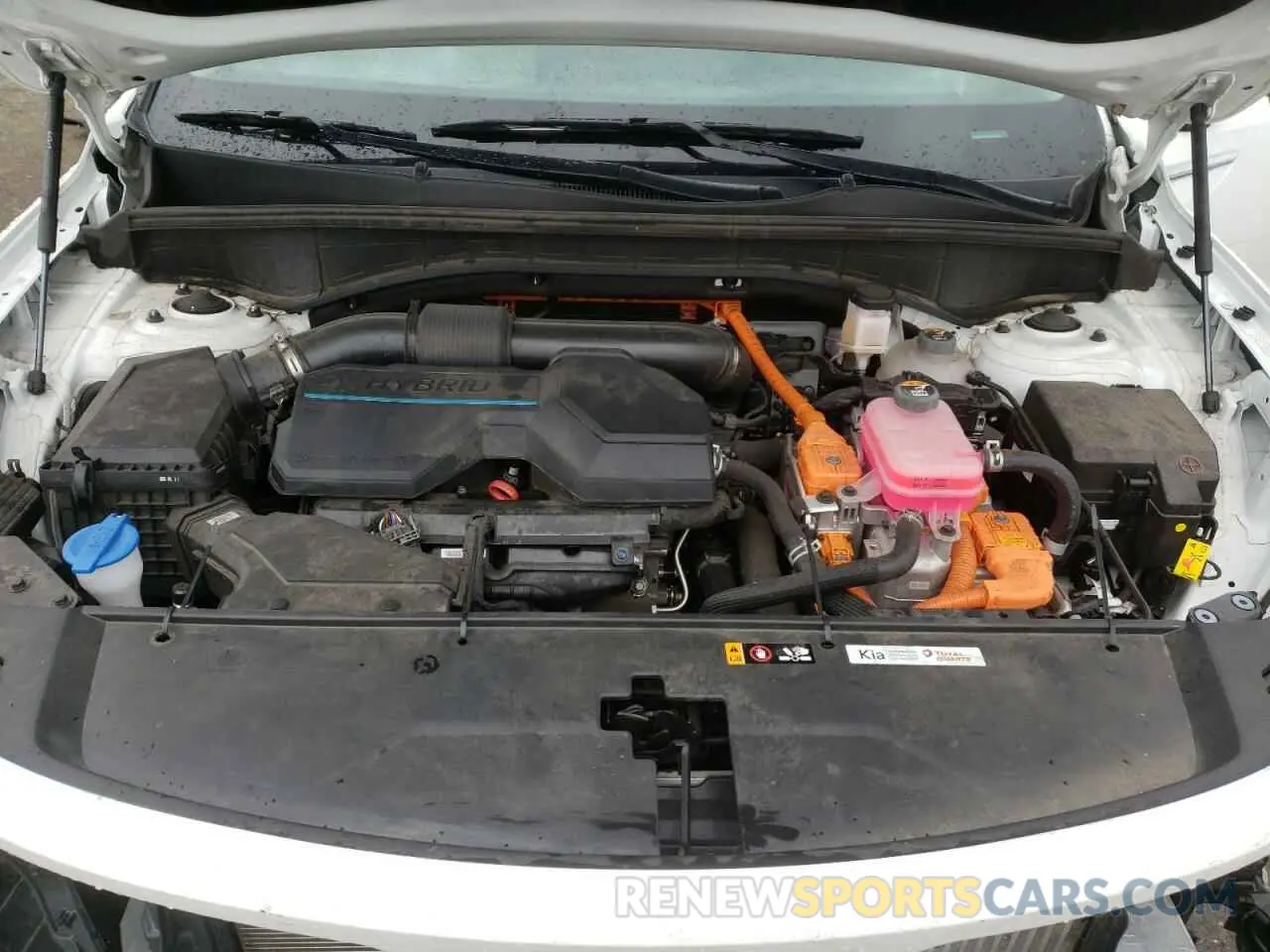14 fotografías del automóvil dañado KNDRHDLG6R5235664 KIA SORENTO 2024