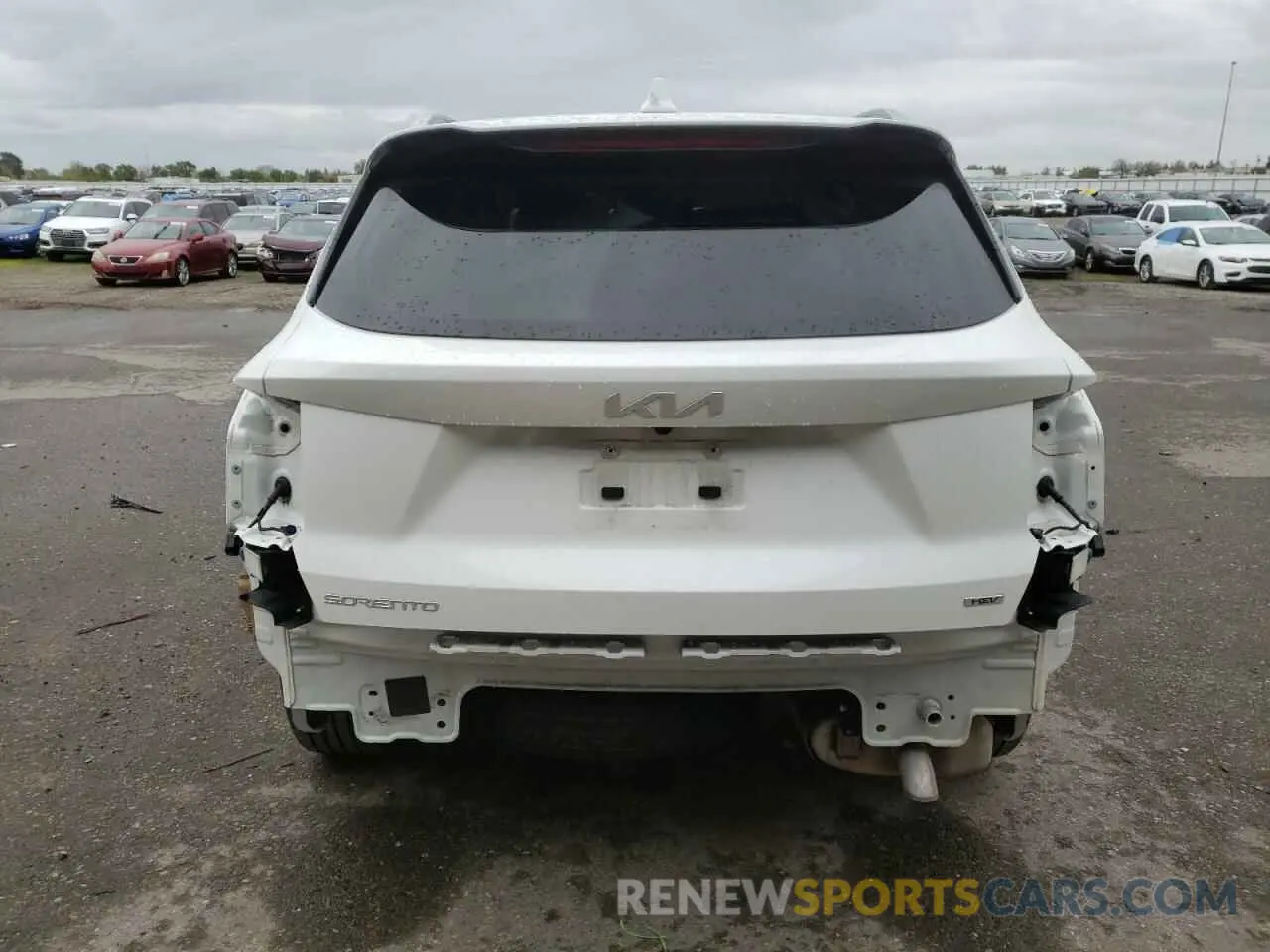 6 fotografías del automóvil dañado KNDRHDLG6R5235664 KIA SORENTO 2024
