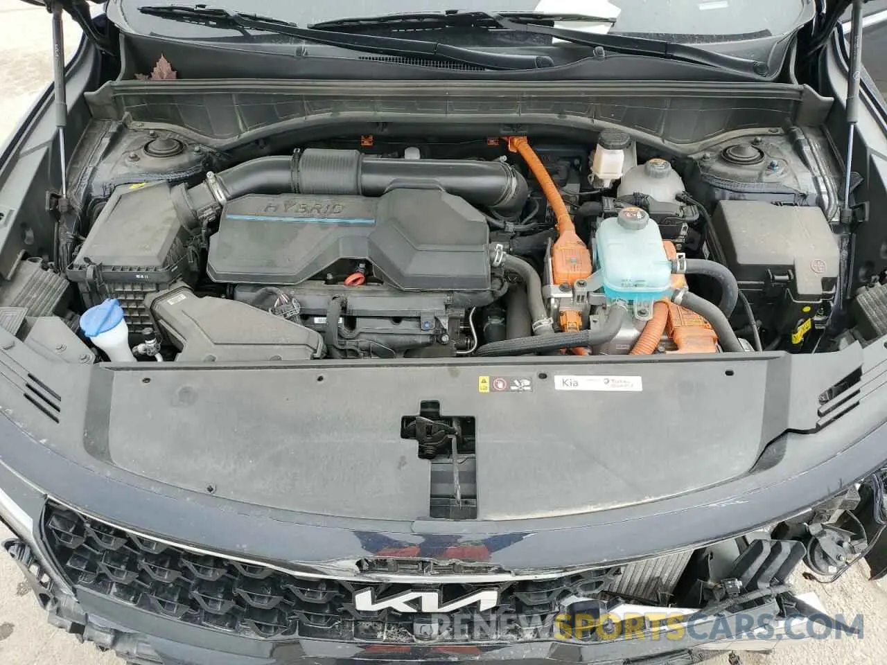 12 fotografías del automóvil dañado KNDRMDLH5R5236308 KIA SORENTO 2024