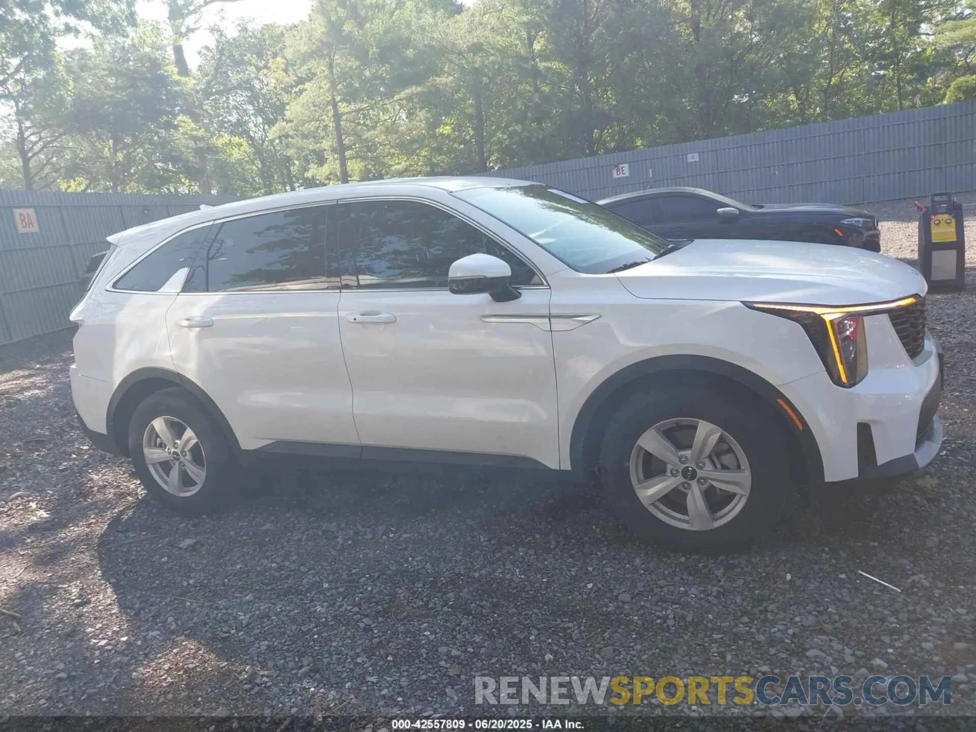 13 fotografías del automóvil dañado 5XYRG4JC7SG318052 KIA SORENTO 2025