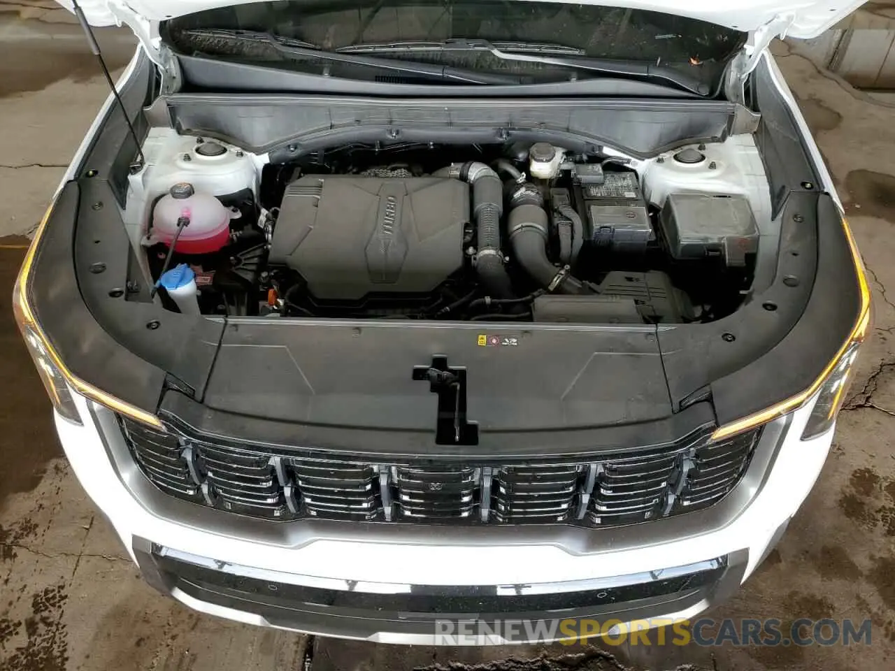 12 fotografías del automóvil dañado 5XYRKDJF7SG337029 KIA SORENTO 2025