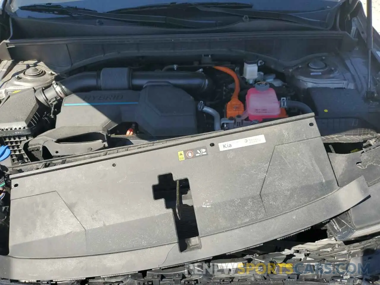 12 fotografías del automóvil dañado KNDRHDJG7S5287975 KIA SORENTO 2025