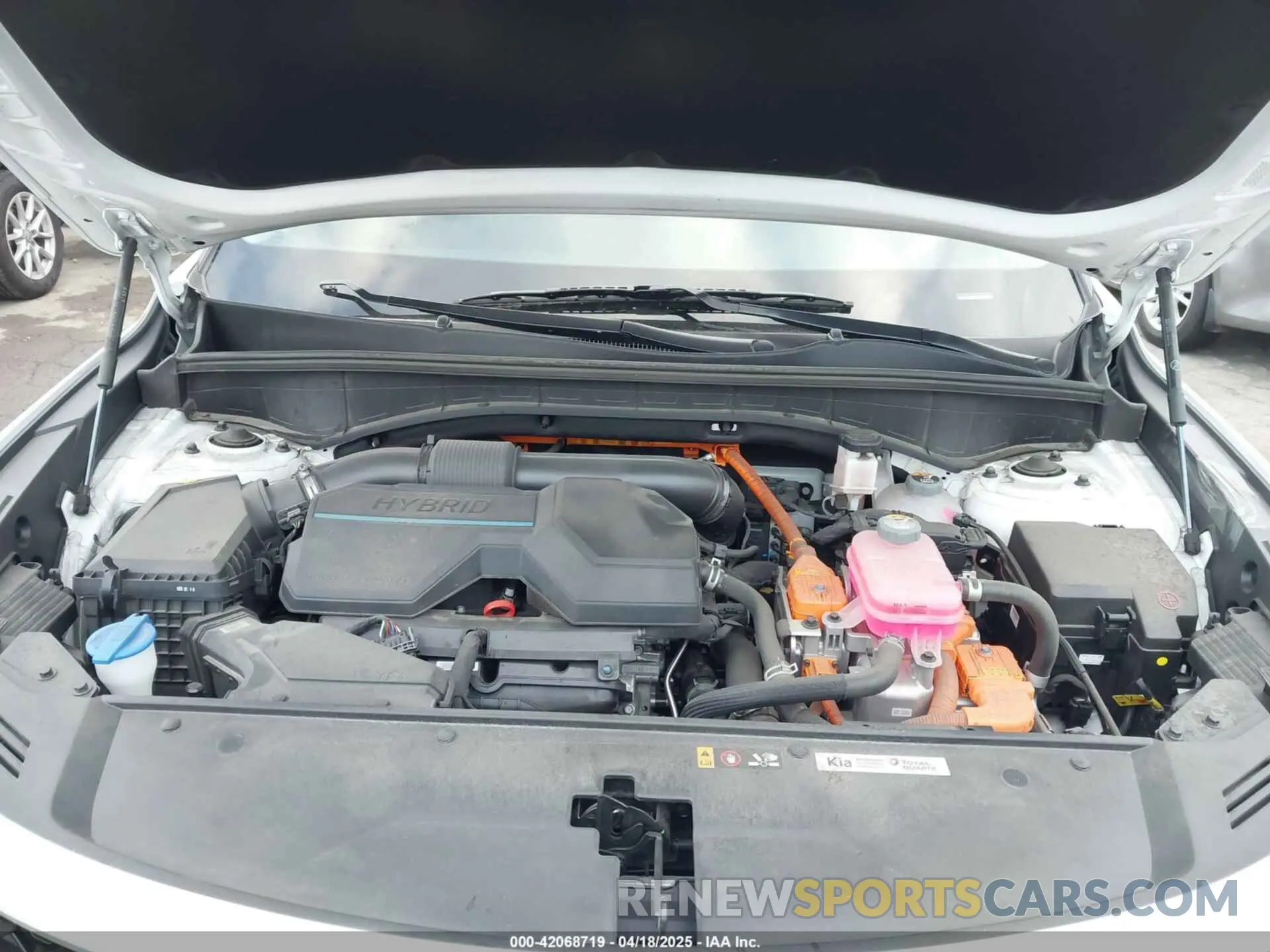 10 fotografías del automóvil dañado KNDRH4LG1P5223144 KIA SORENTO HYBRID 2023