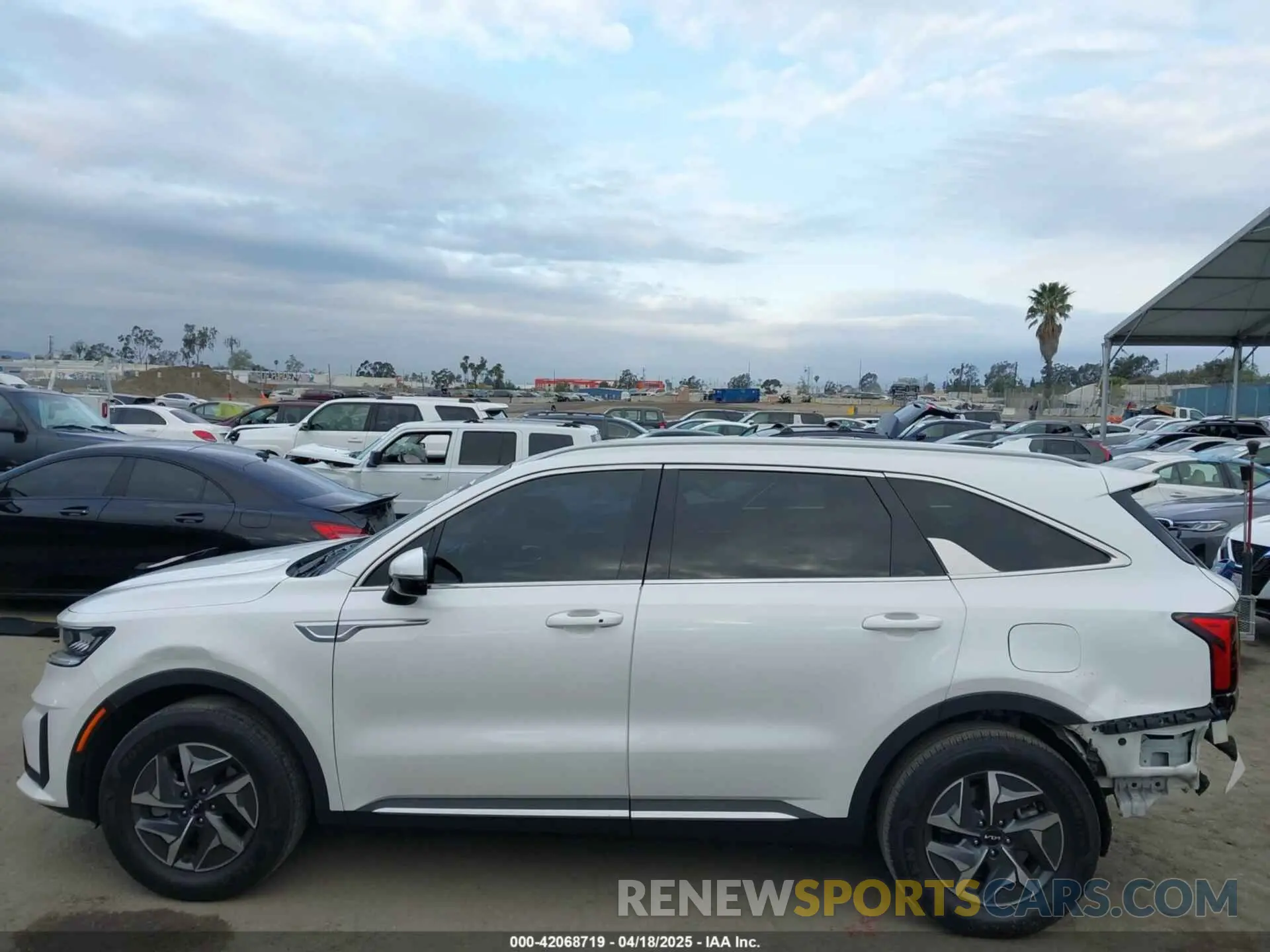 15 fotografías del automóvil dañado KNDRH4LG1P5223144 KIA SORENTO HYBRID 2023