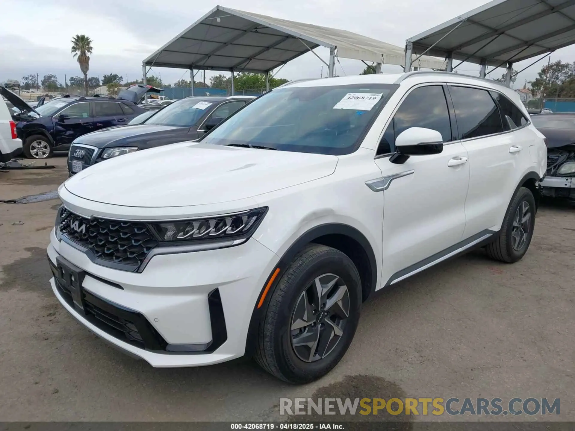 2 fotografías del automóvil dañado KNDRH4LG1P5223144 KIA SORENTO HYBRID 2023